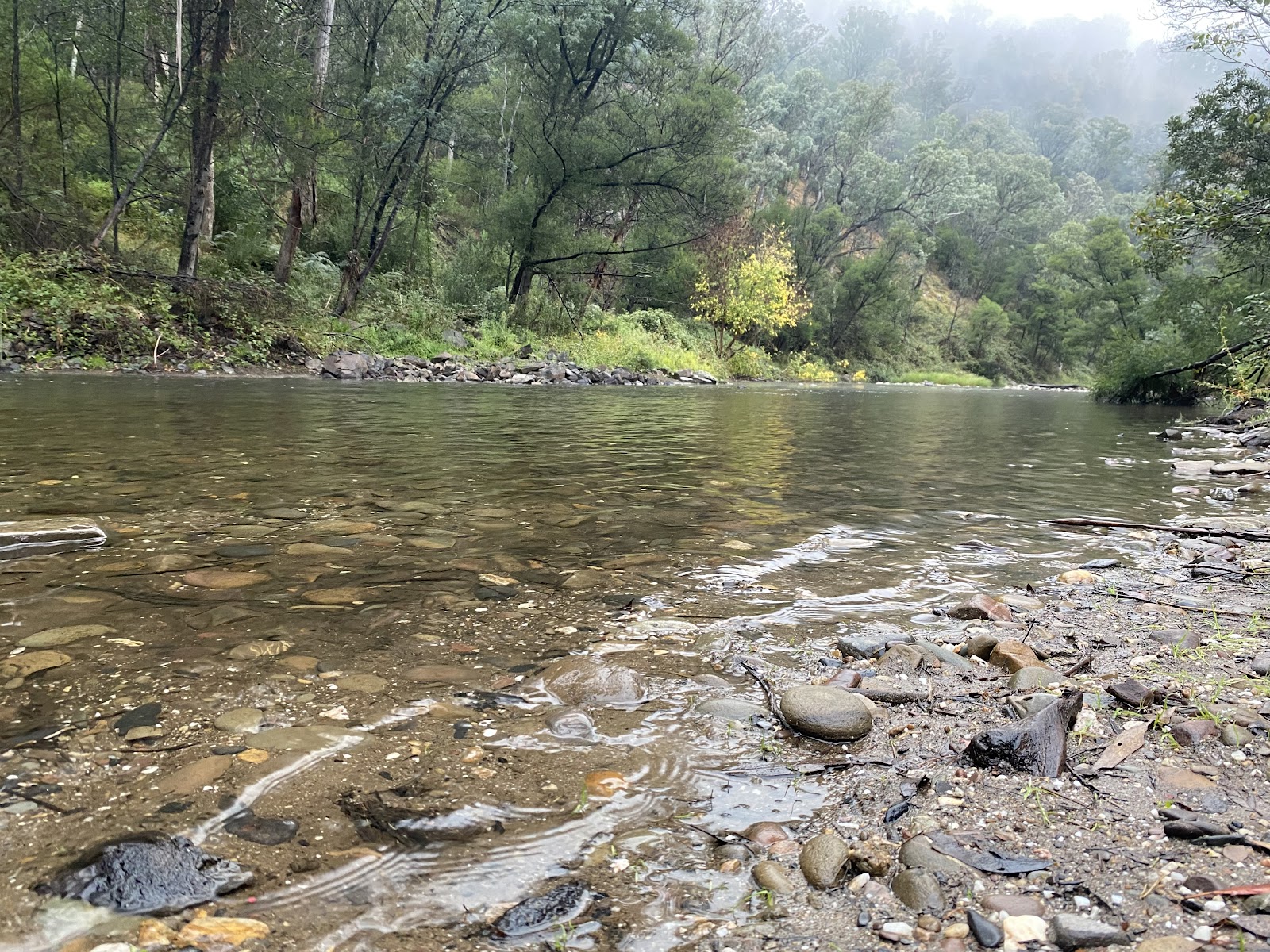 Italian Flat Campground 2