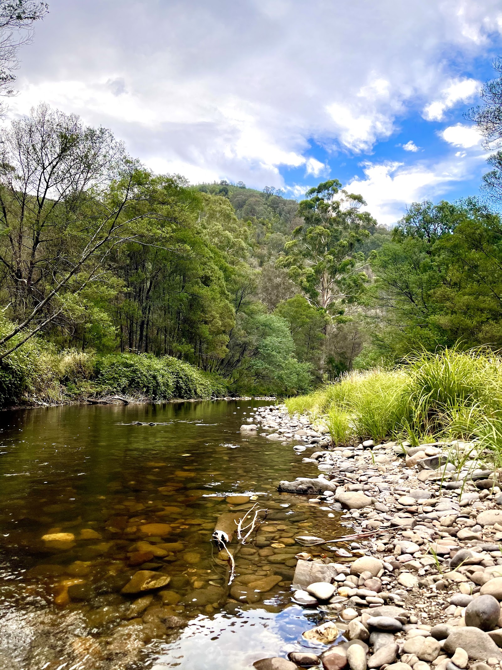 Italian Flat Campground 3