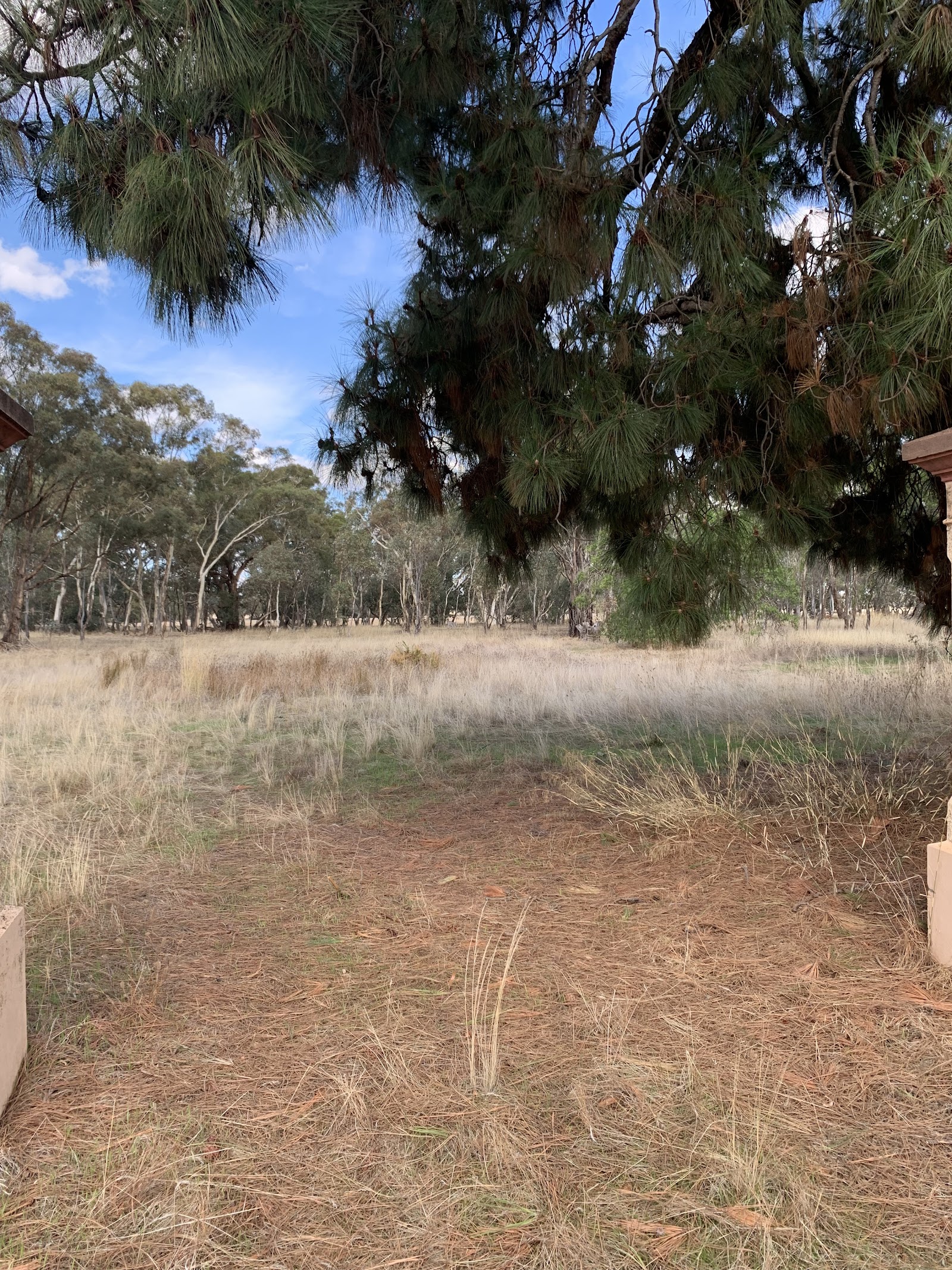 Beazley's Bridge State School Site 3