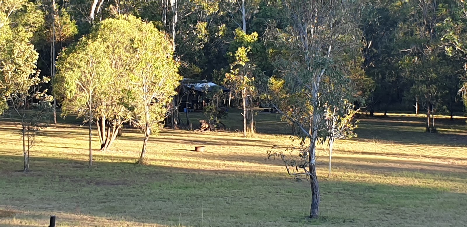 Bush Camp Gunalda 2