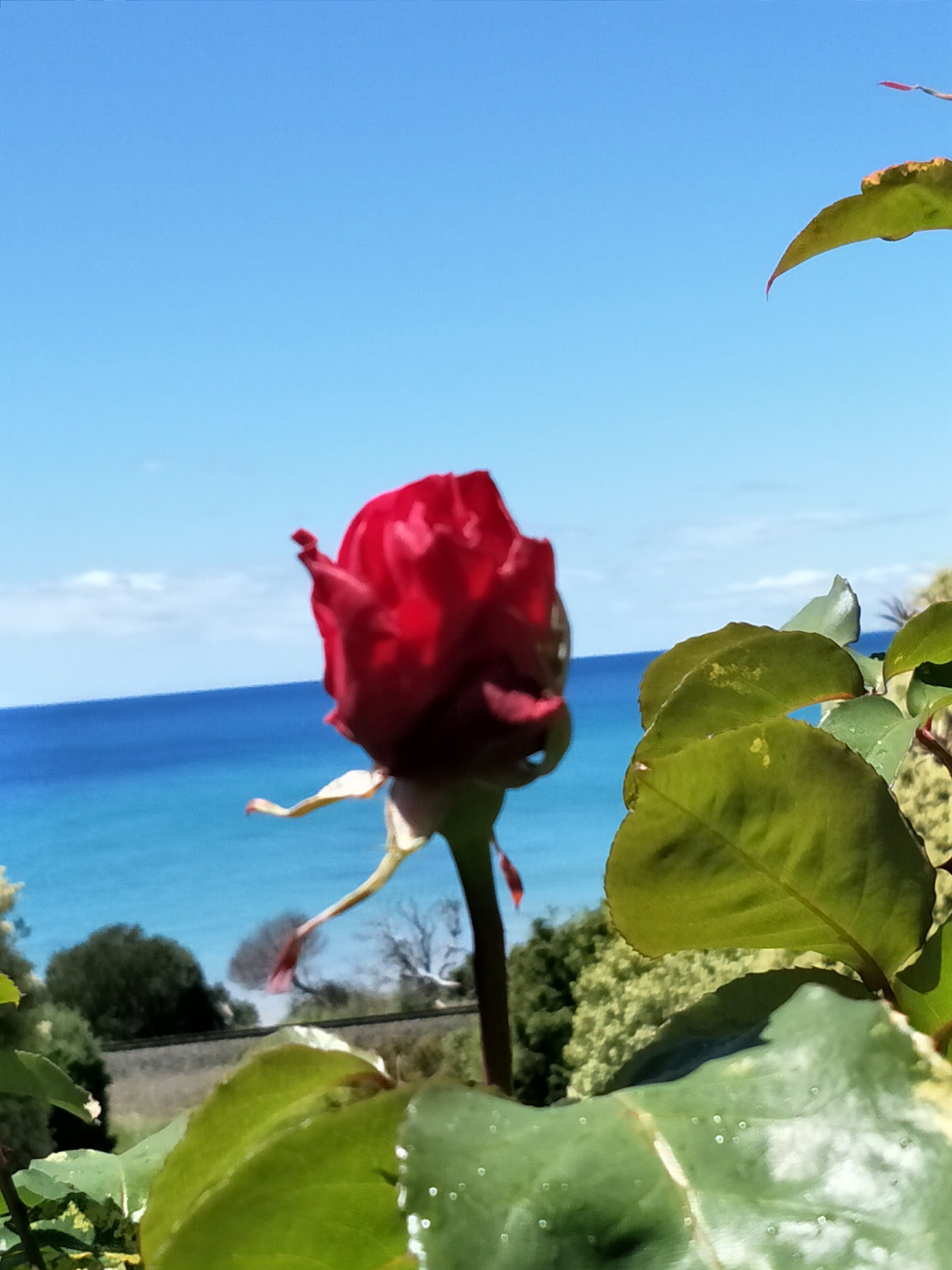 Preservation Bay 3