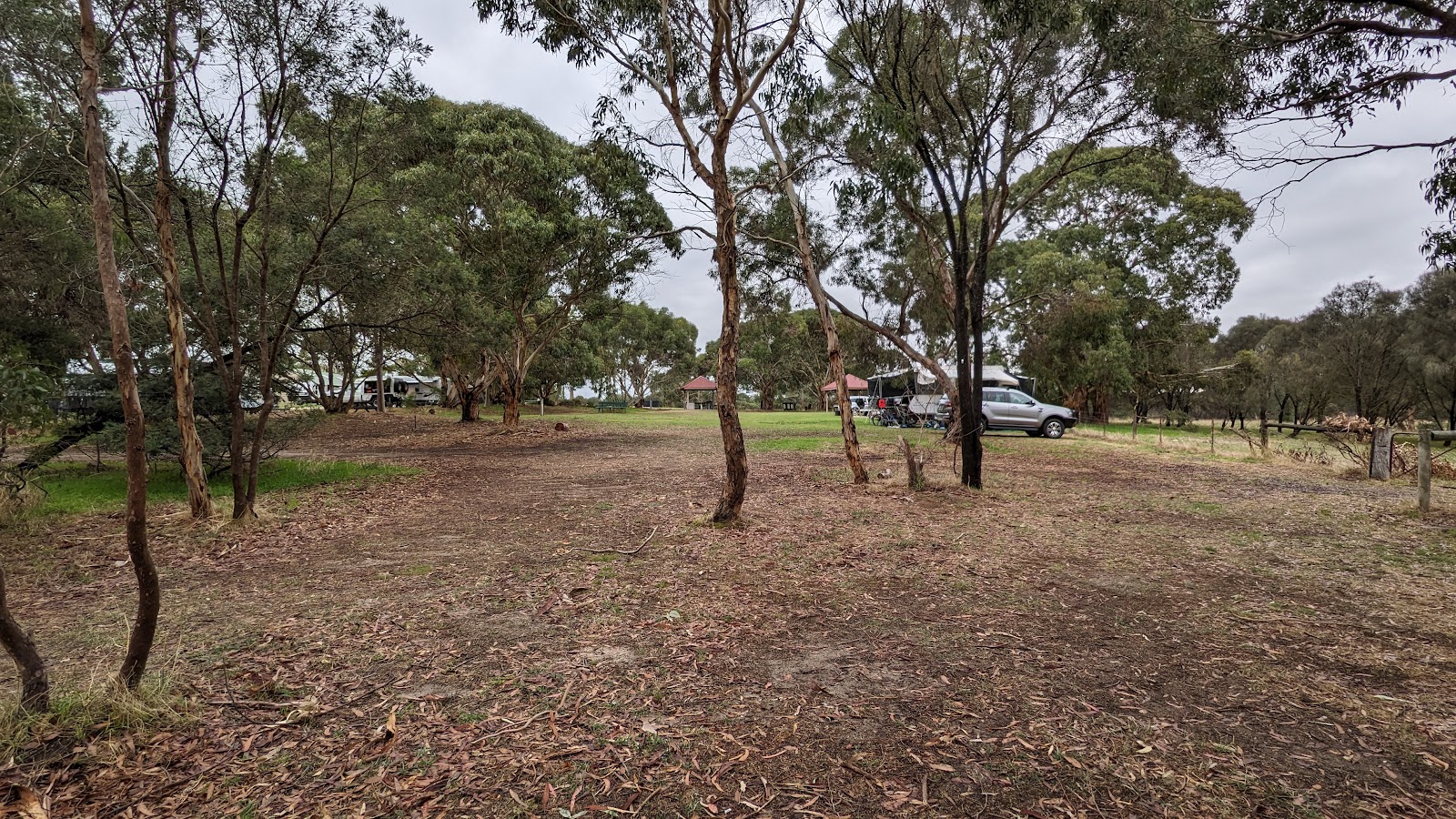 Naracoorte Caves Campground 2