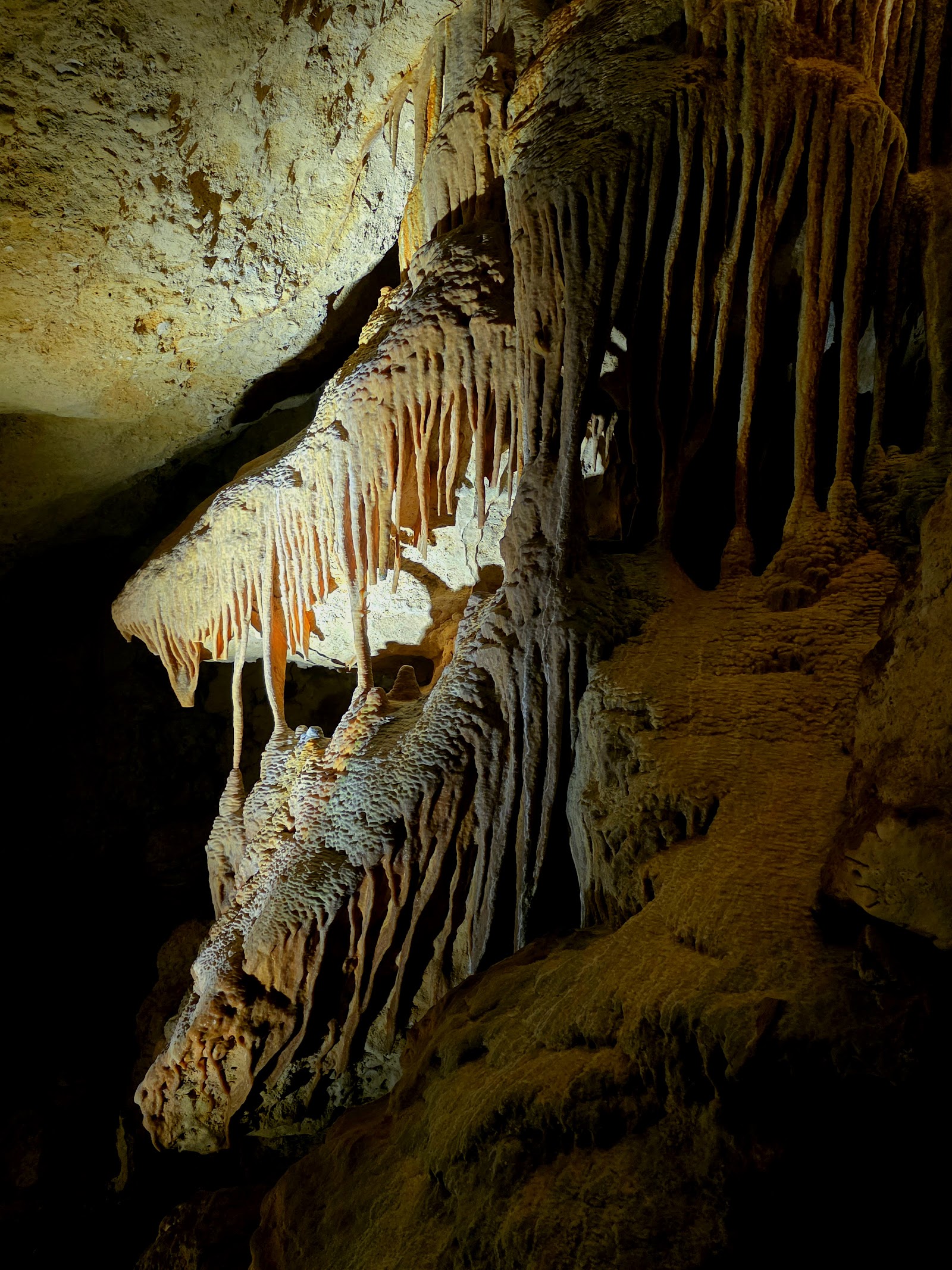 Naracoorte Caves Campground 3