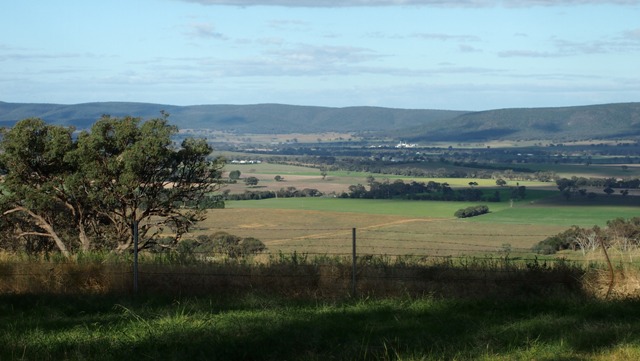 Touts Lookout 2