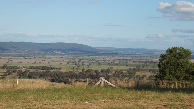 Touts Lookout 3