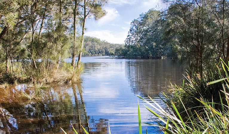 Rivermouth campground 2