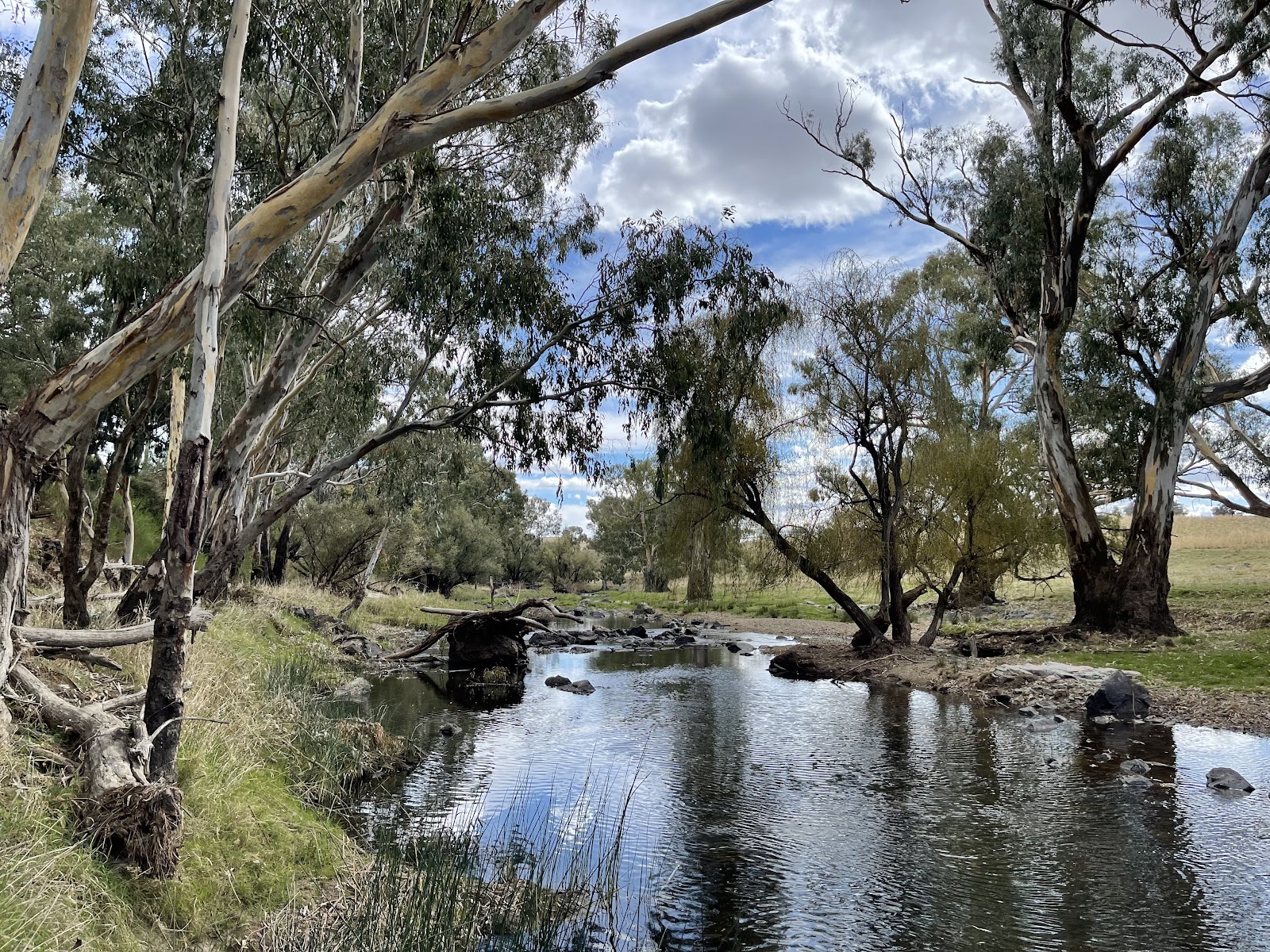 Bakers Shaft Reserve 3