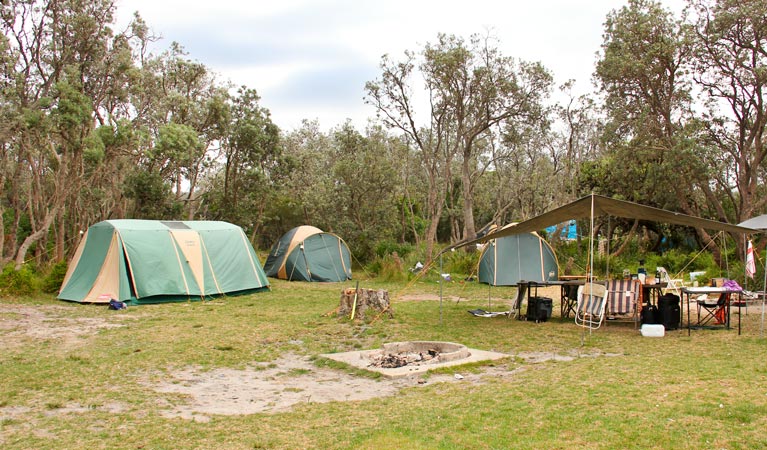 Picnic Point 2