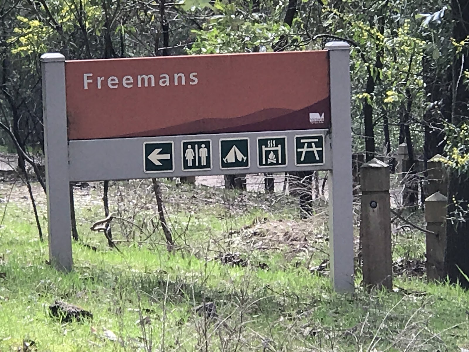 Freemans Camp 5