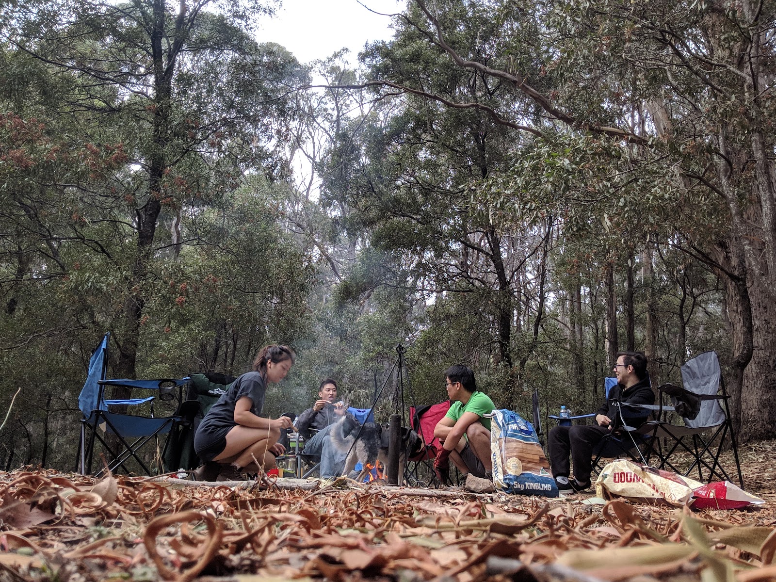 Freemans Camp 6