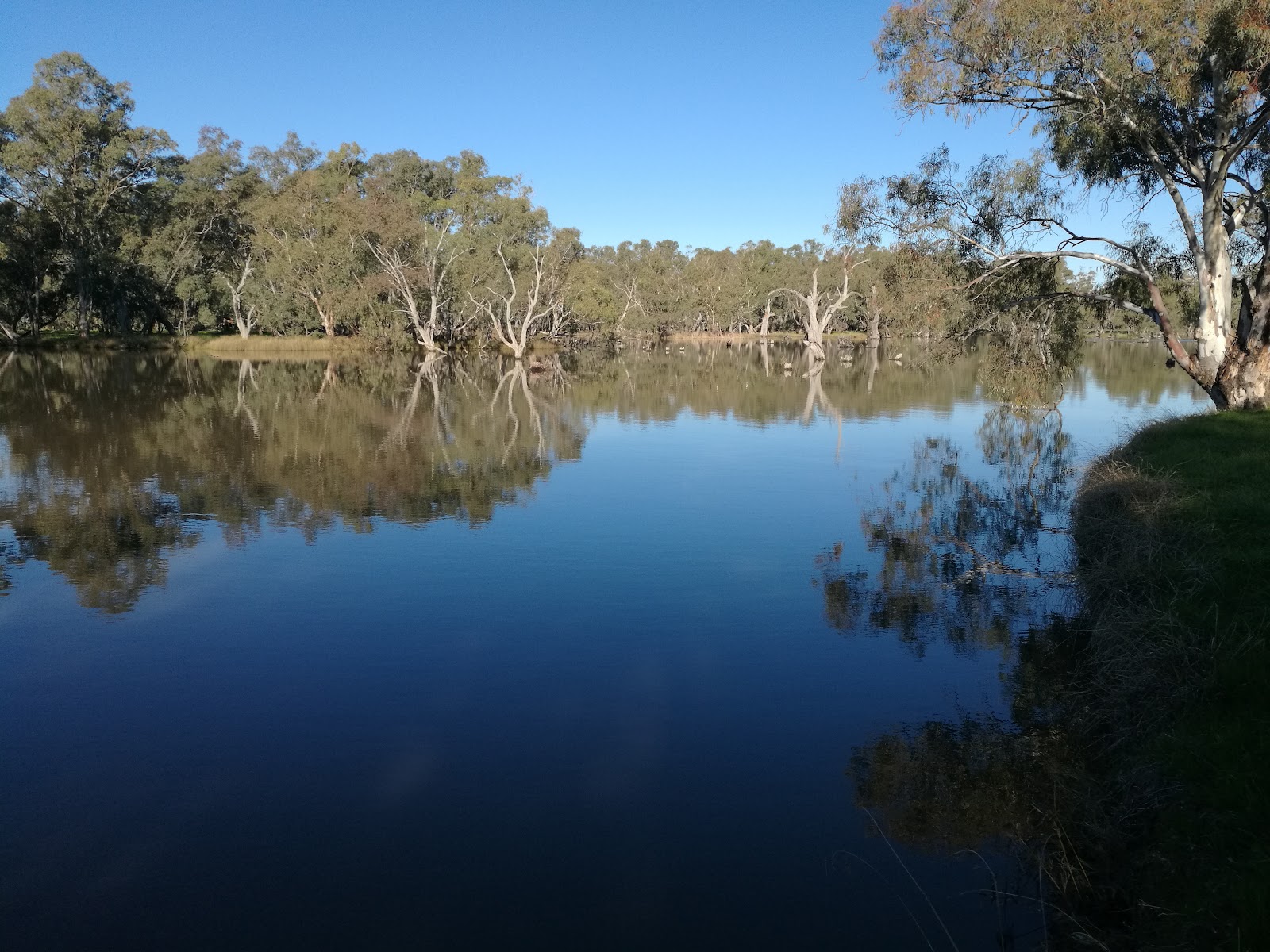 Loddon Weir 7