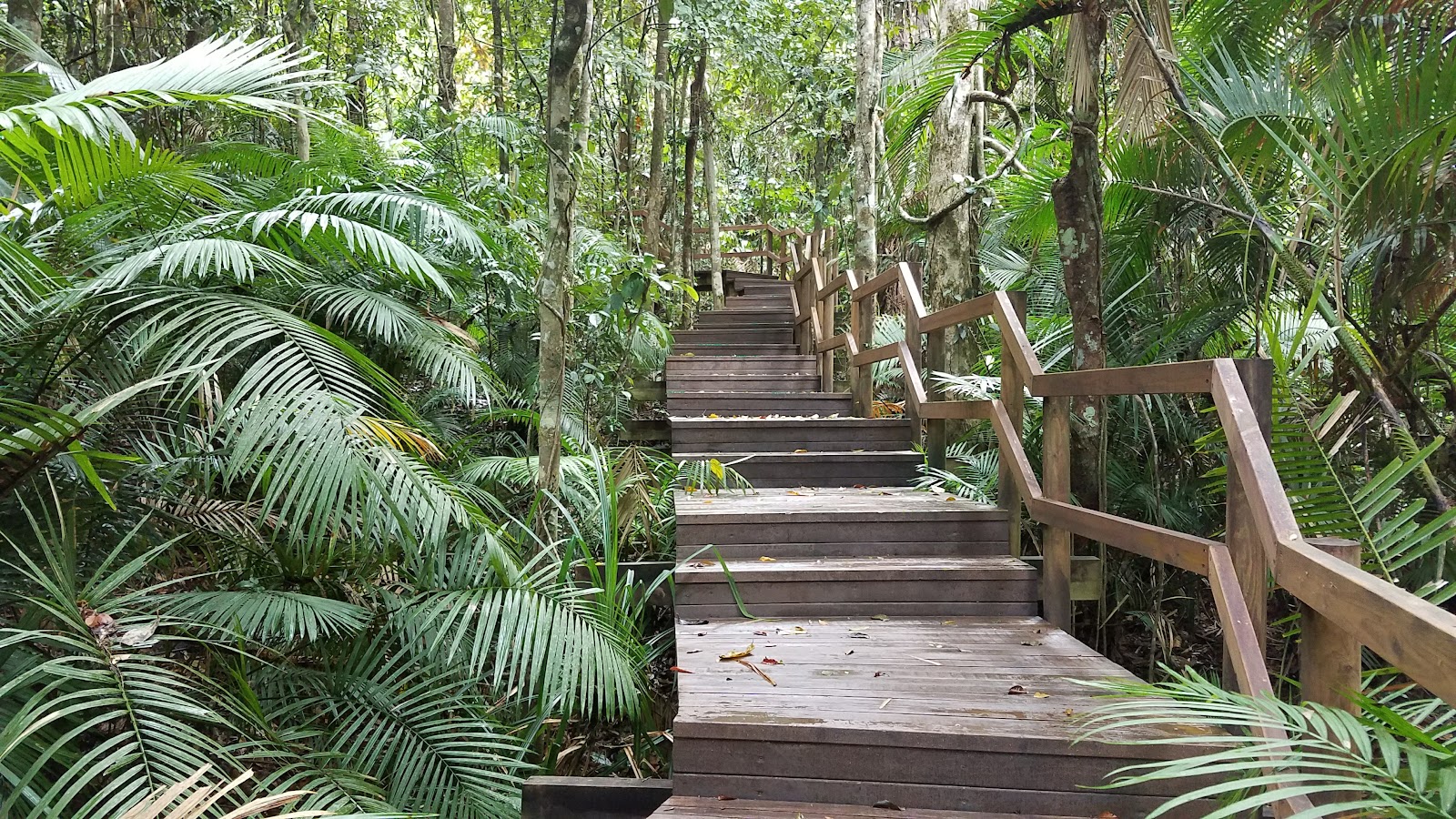 Speewah Conservation Park 2