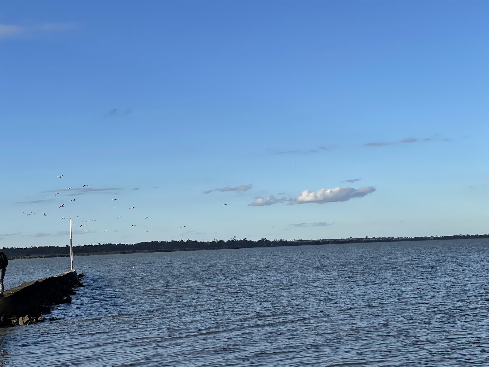 Marlay Point Free Camping 2