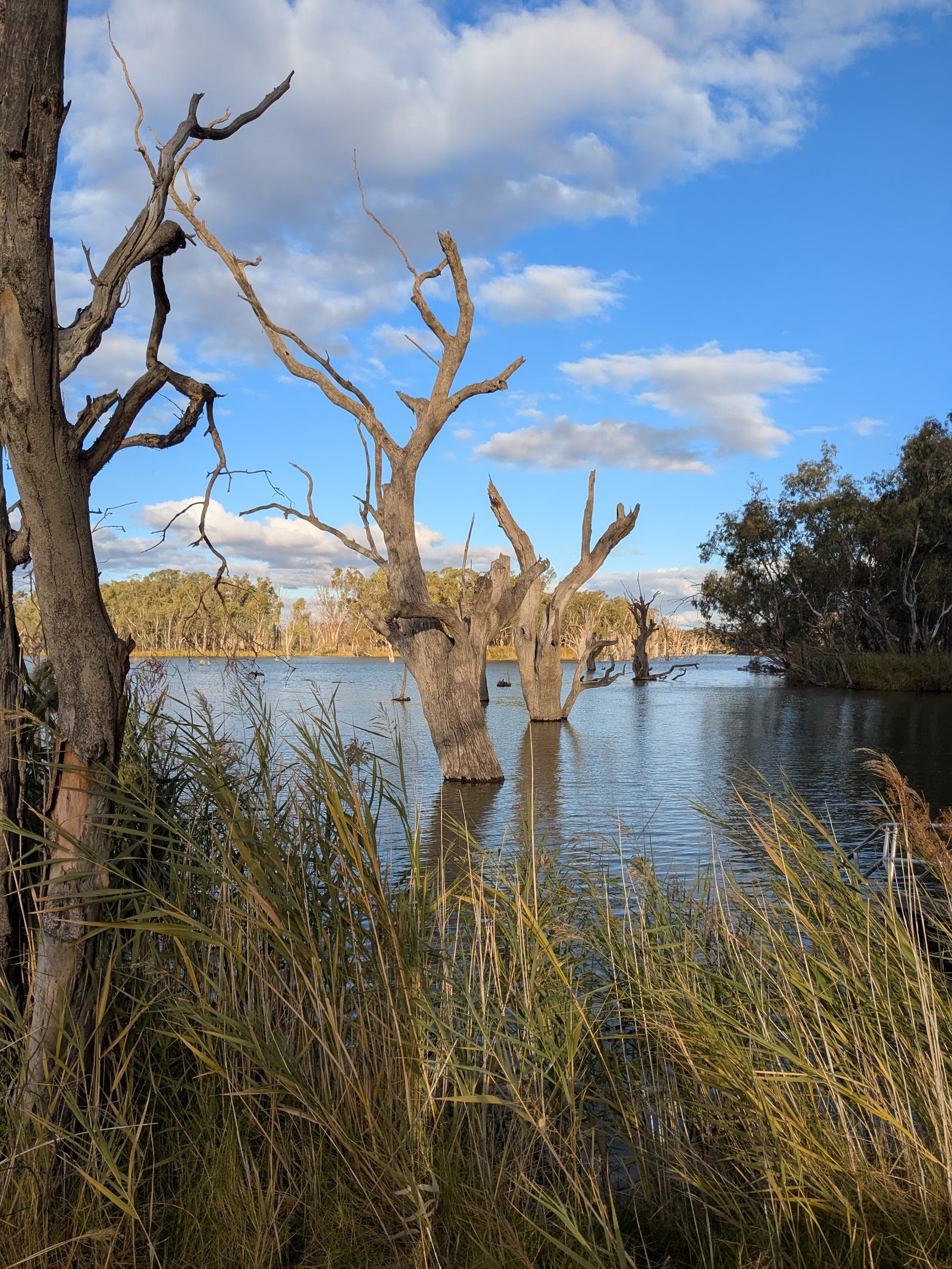 Campground 10 - Loch Luna Game Reserve 2