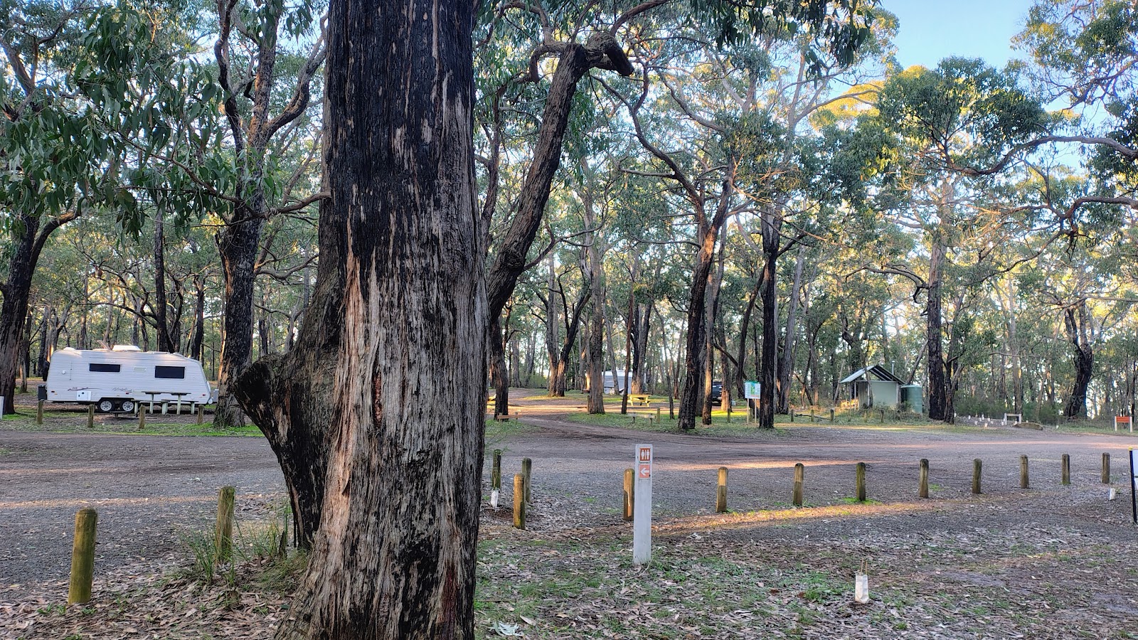 Saw Pit Picnic Area 5