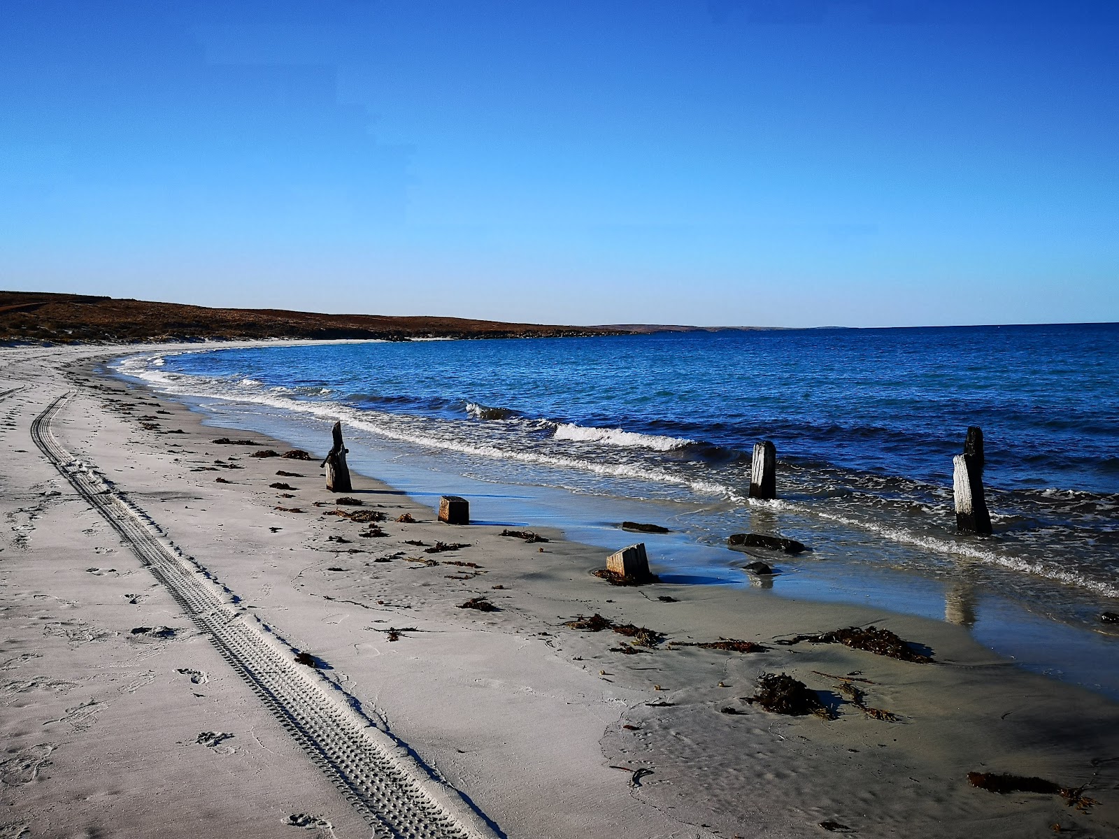 Lipson Cove 4