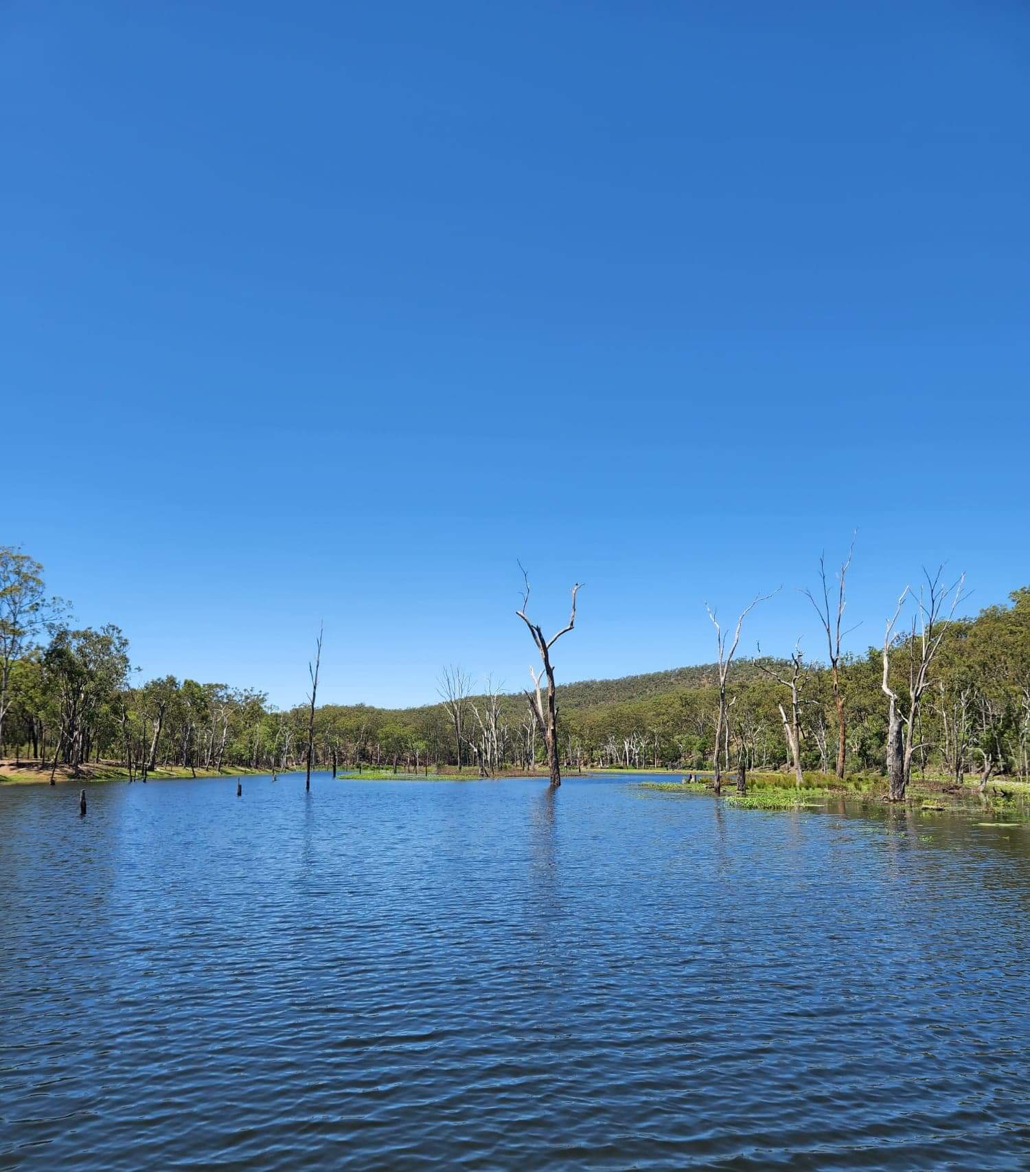 Eungella Dam 4