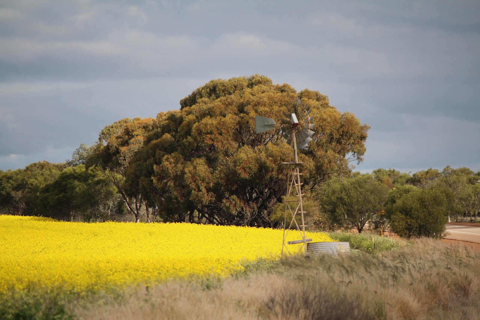 Wongan Hills 48h RV Parking 2