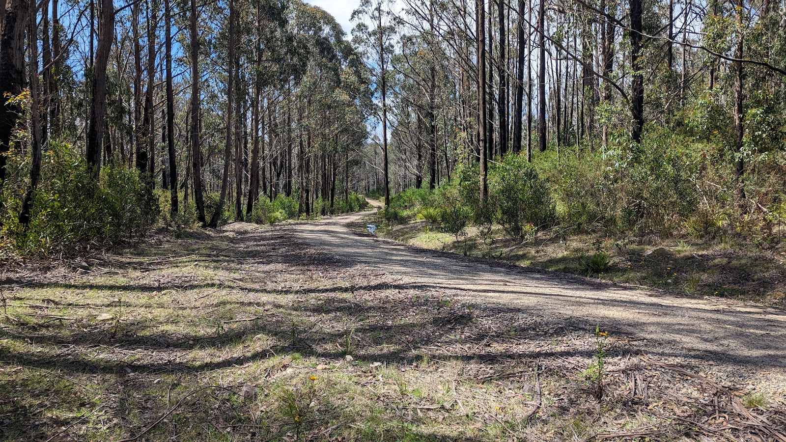Nunnock Campground 2