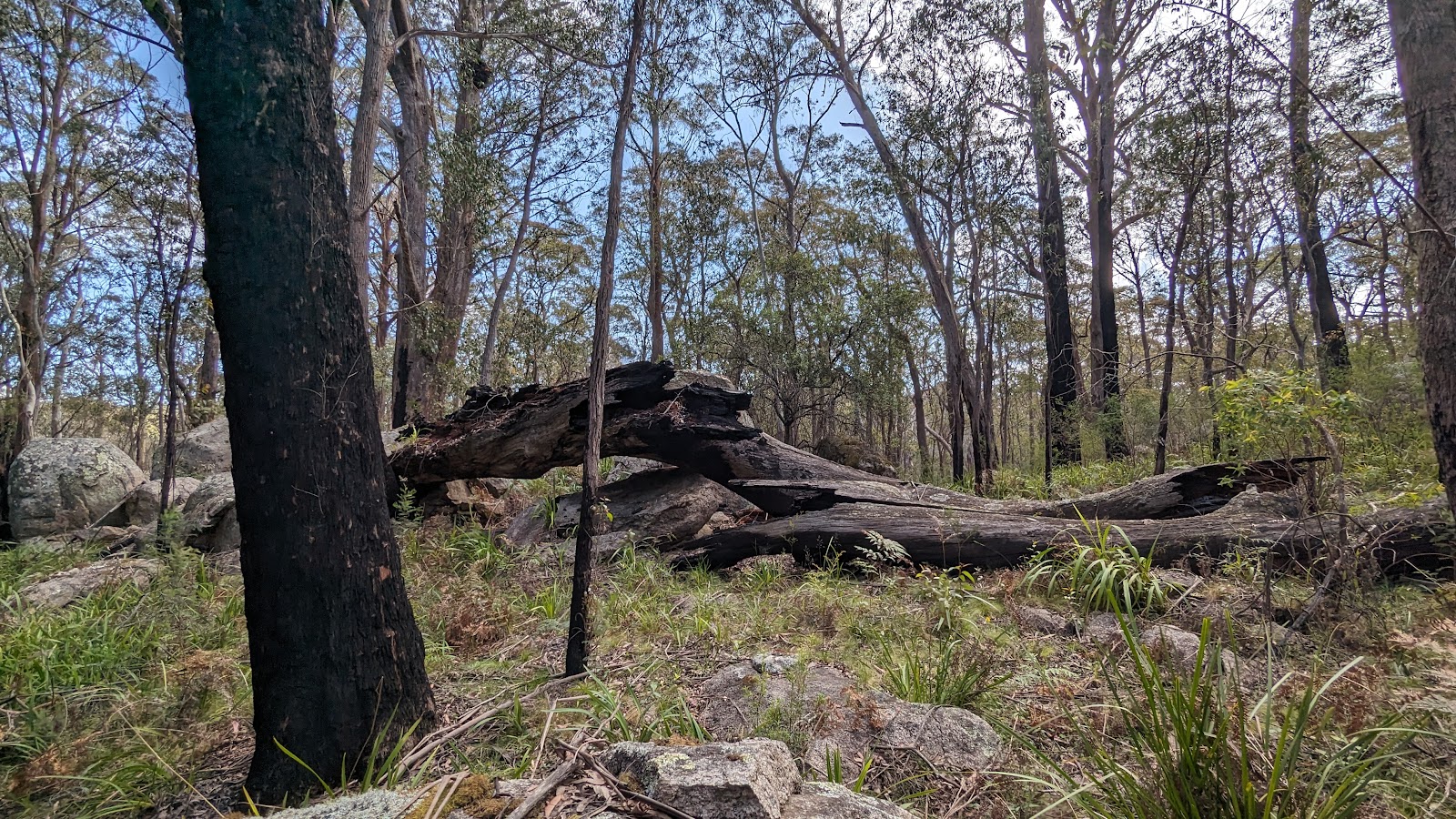 Nunnock Campground 4