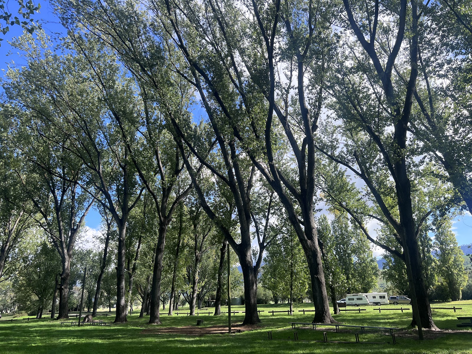Nariel Creek Recreation Reserve 4
