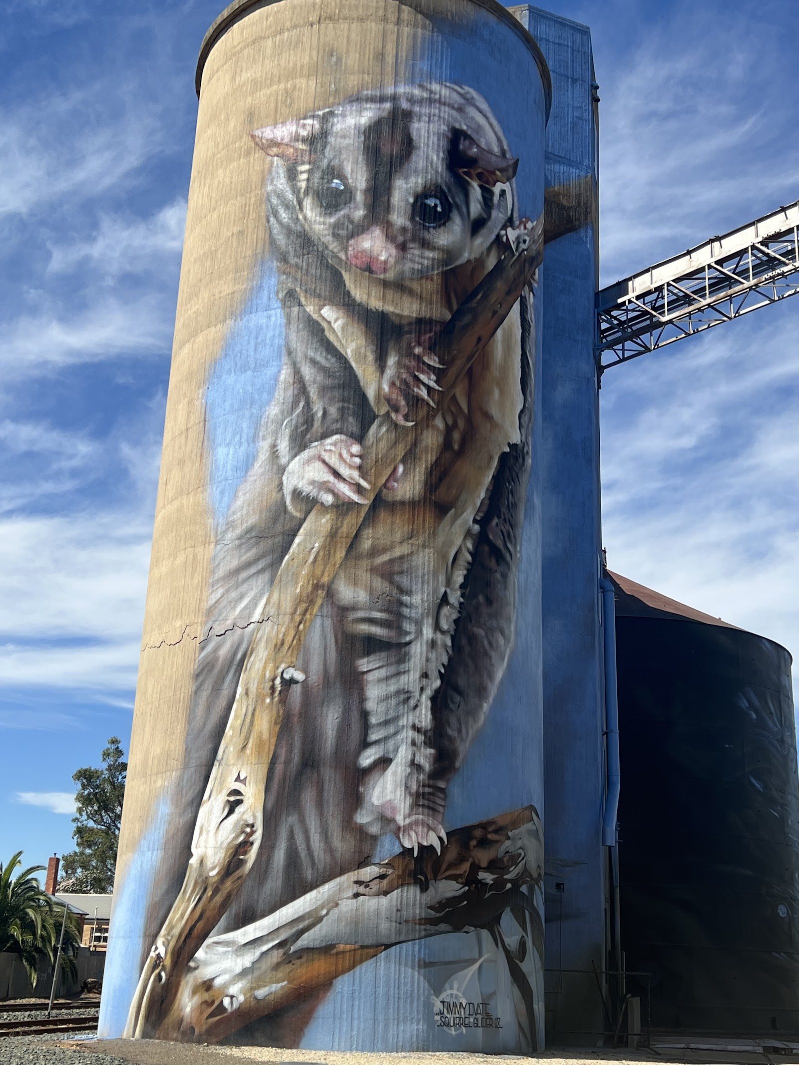 Rochester Silo Art 3
