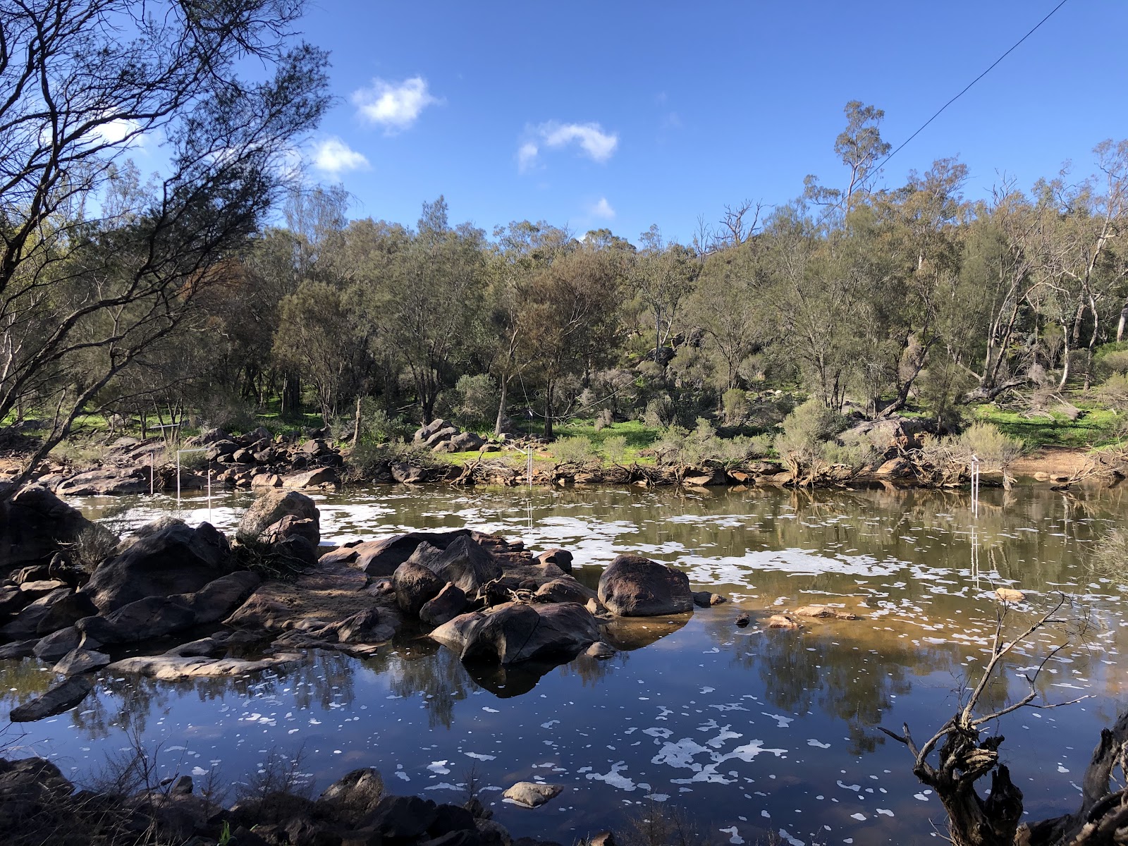 Walyunga Campground 3