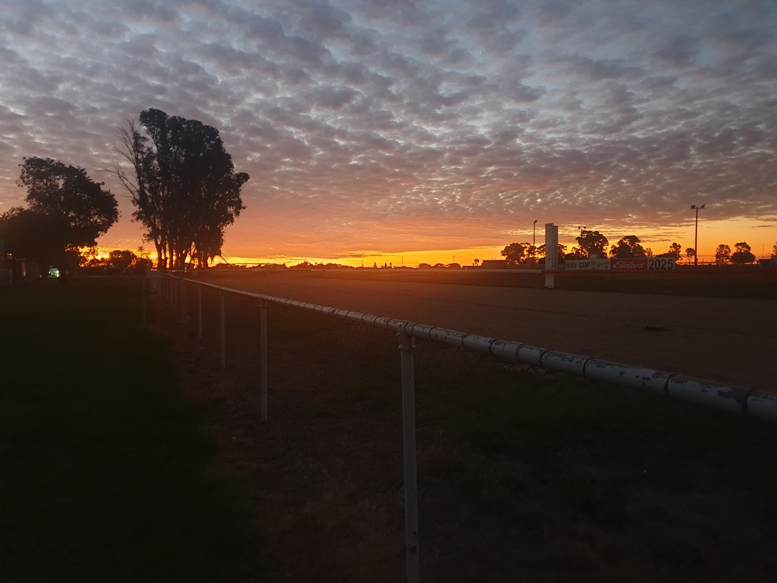 Hay Showground 6