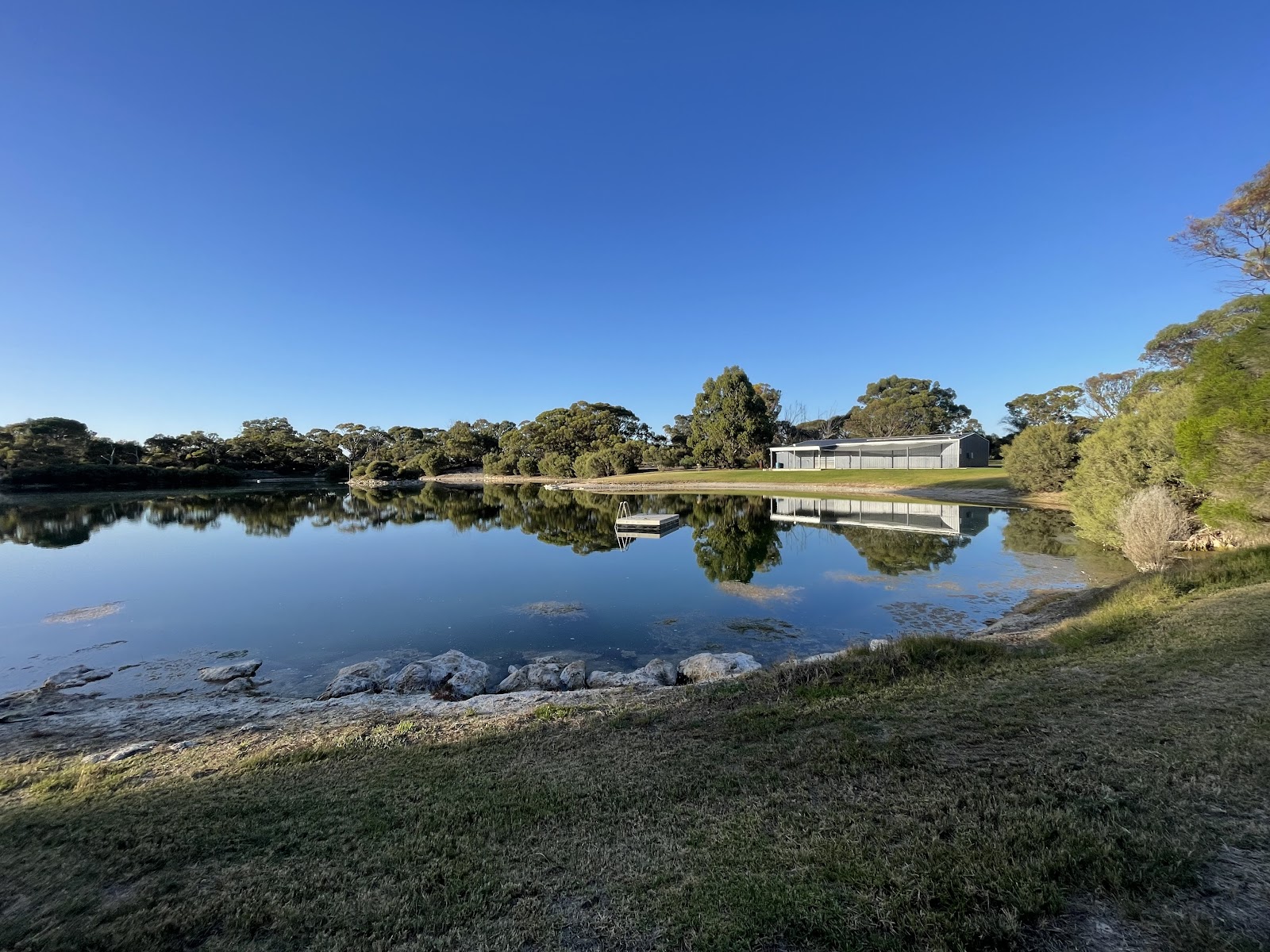 Tintinara Campsite 2
