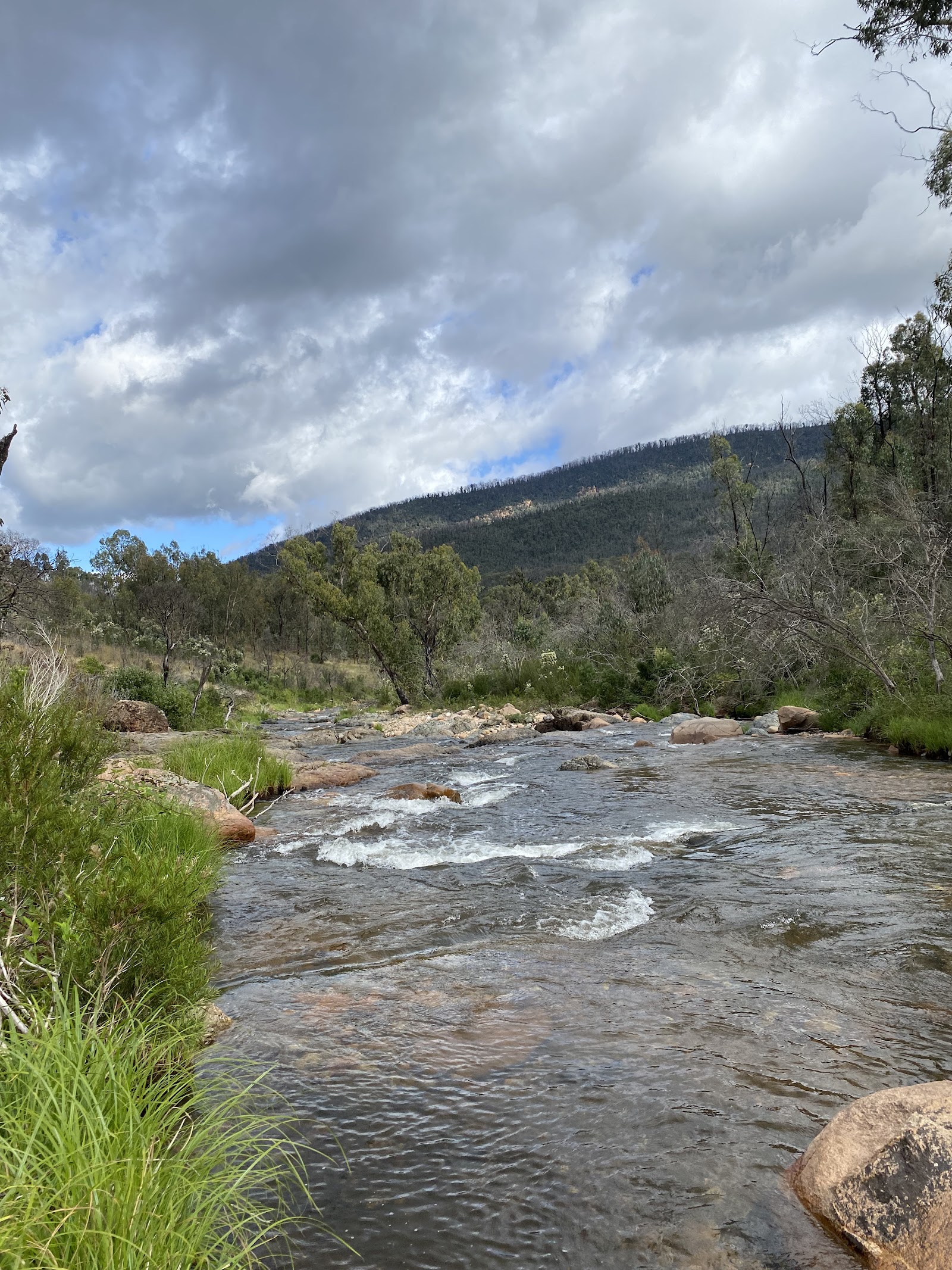 Jounama Creek Campground 3