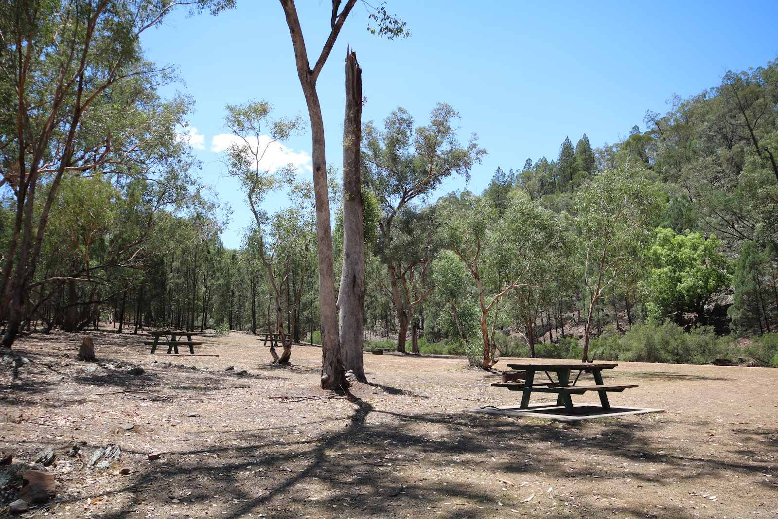 Terarra Creek Camping and Picnic Area 4