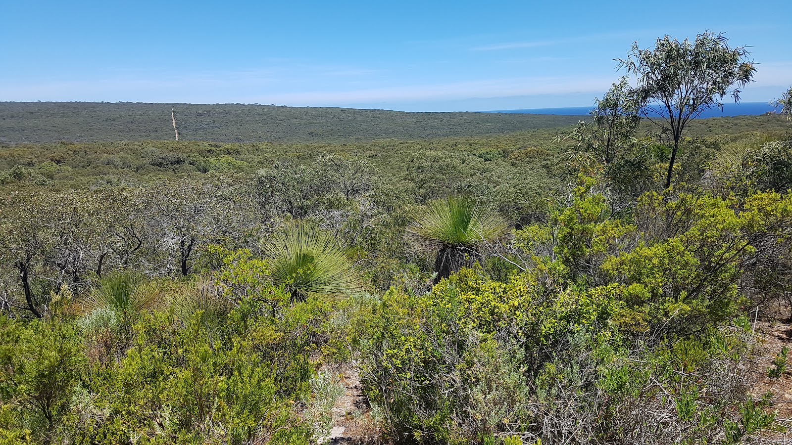 Conto Campground - Whistlers 3