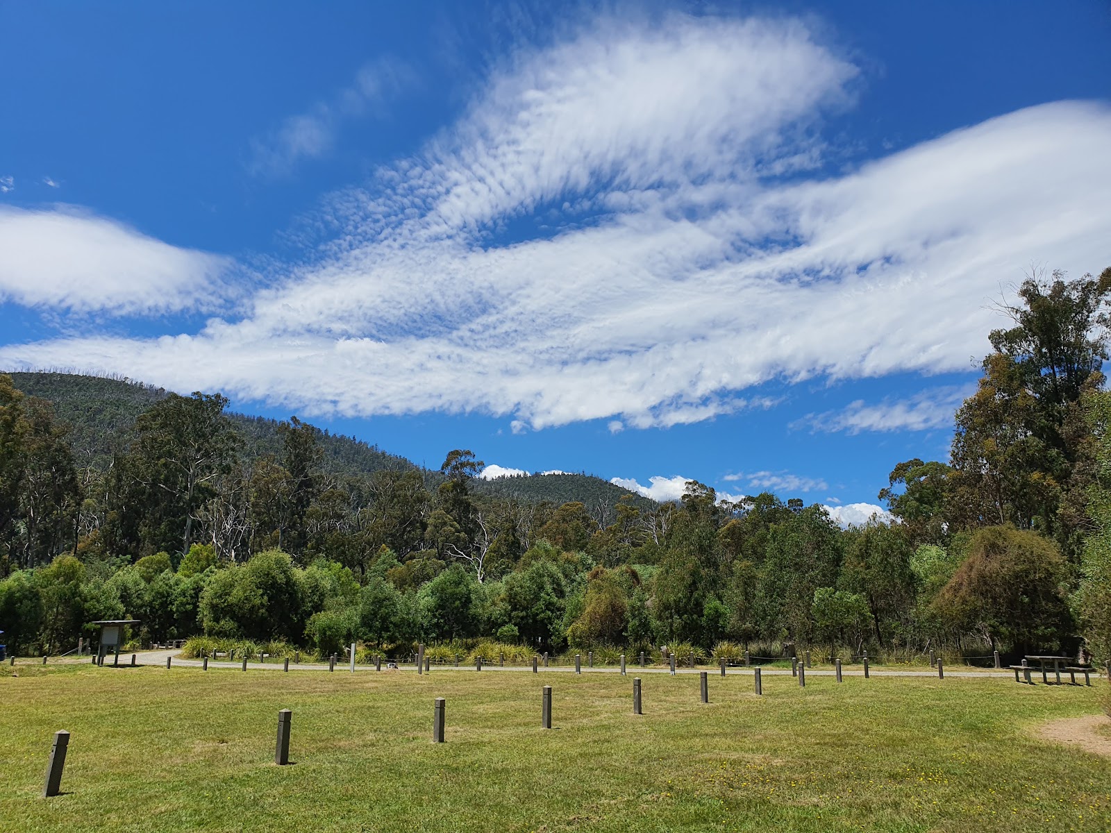Murrindindi Scenic Reserve 6