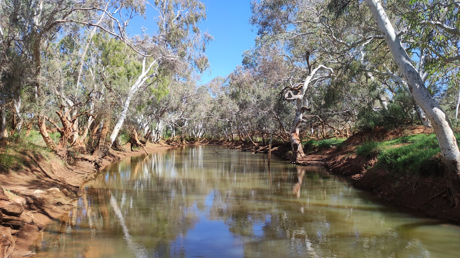 Gascoyne River (South Branch) / Doolgunna 4
