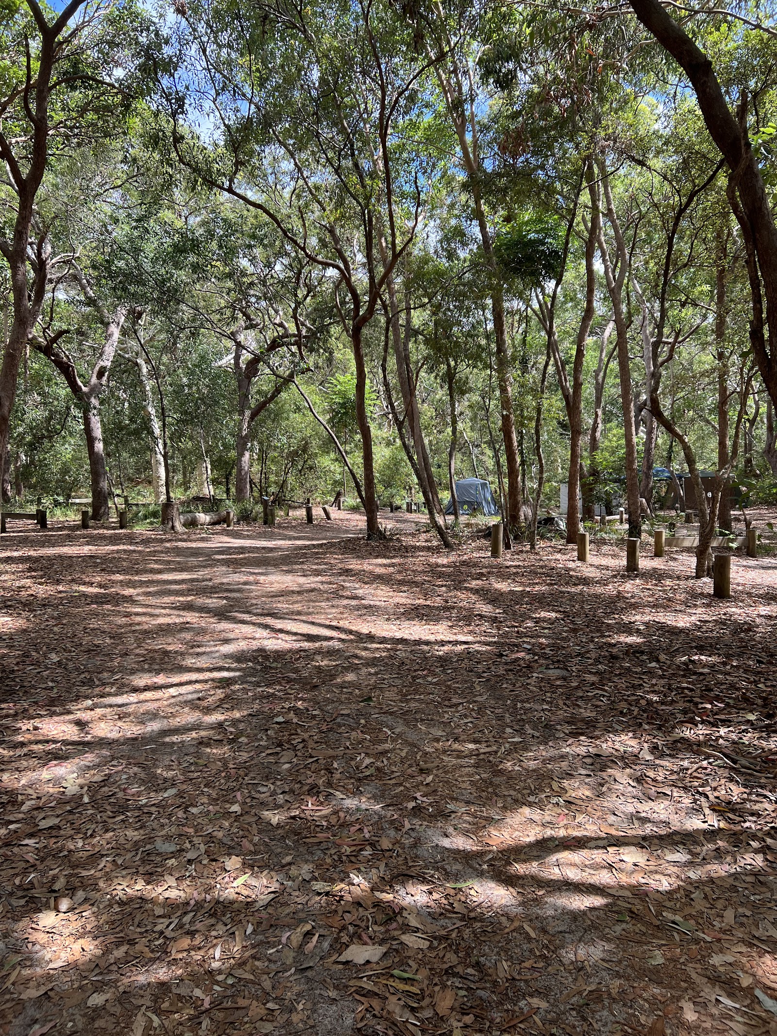 Freshwater Camping & Day Use Area 2