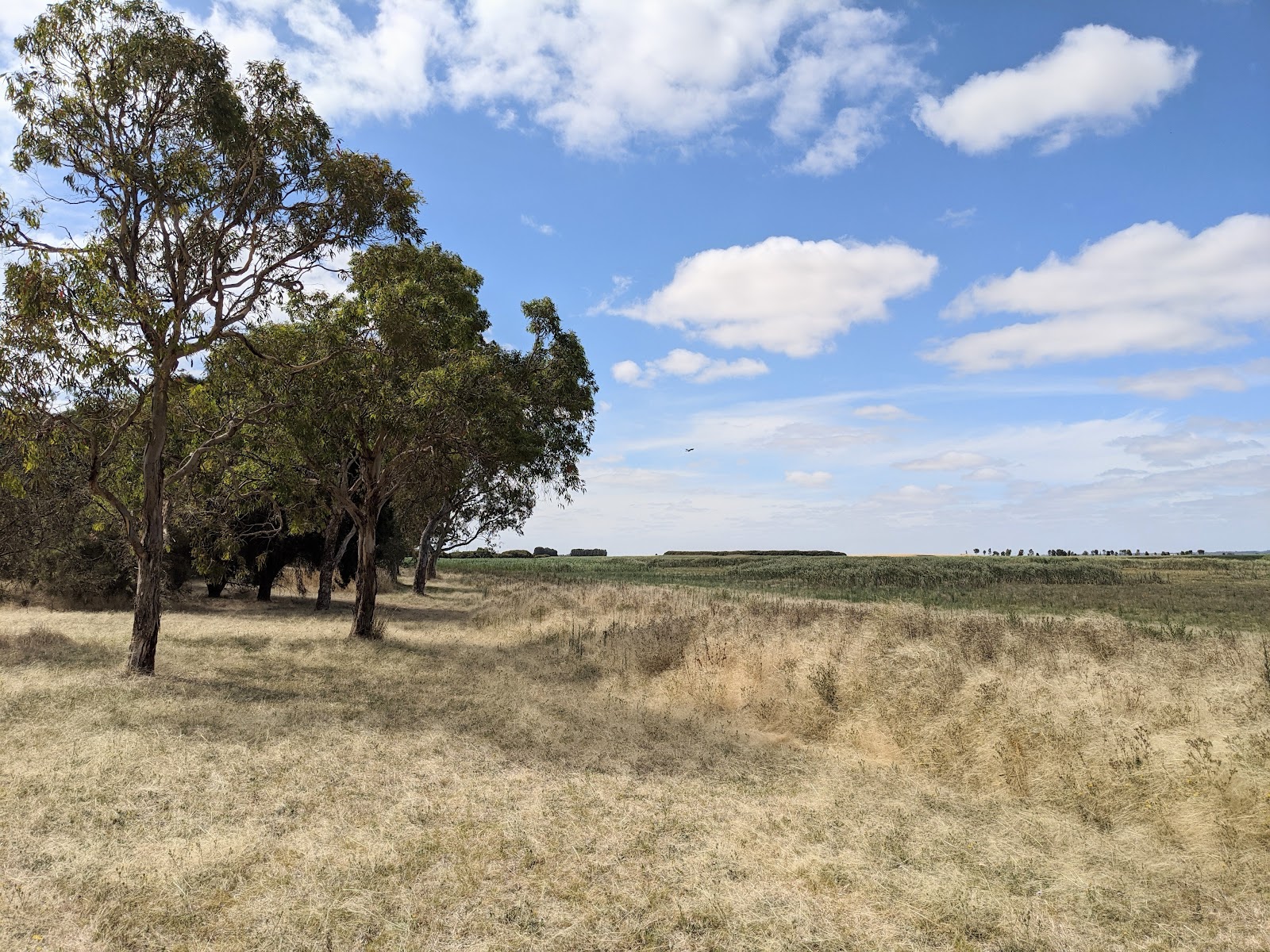 Bool Lagoon Game Reserve Conservation Park 2