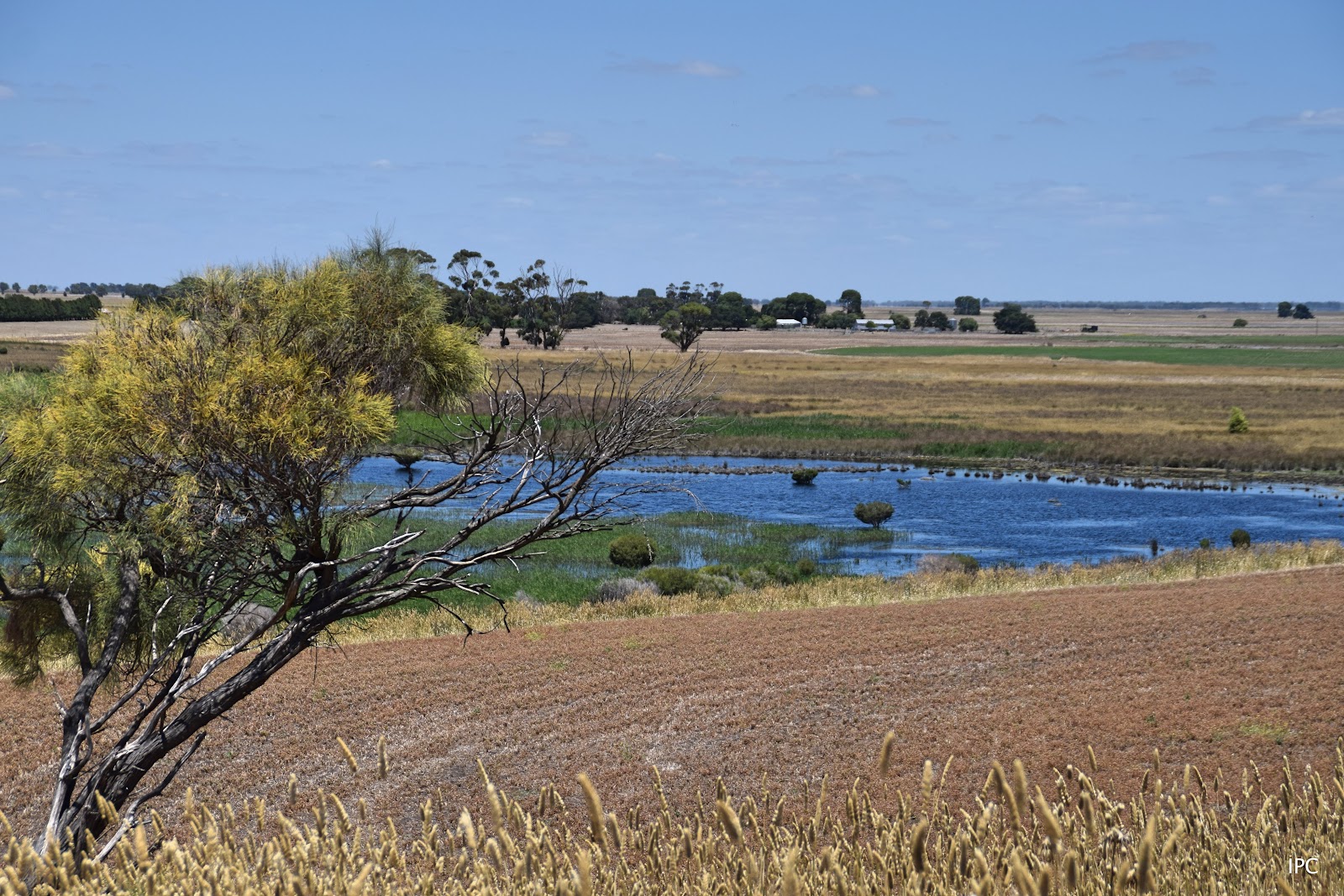 Bool Lagoon Game Reserve Conservation Park 5