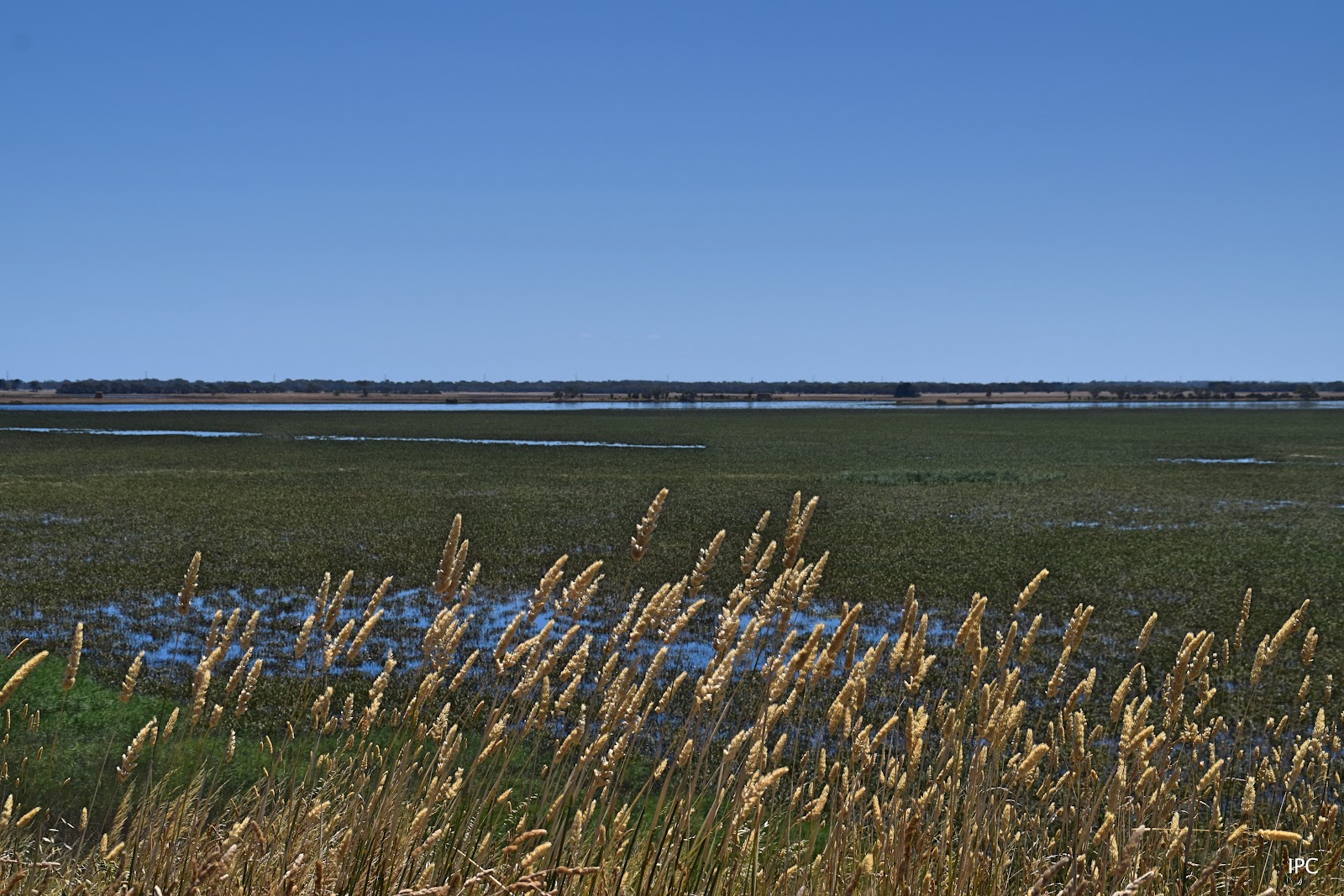 Bool Lagoon Game Reserve Conservation Park 6