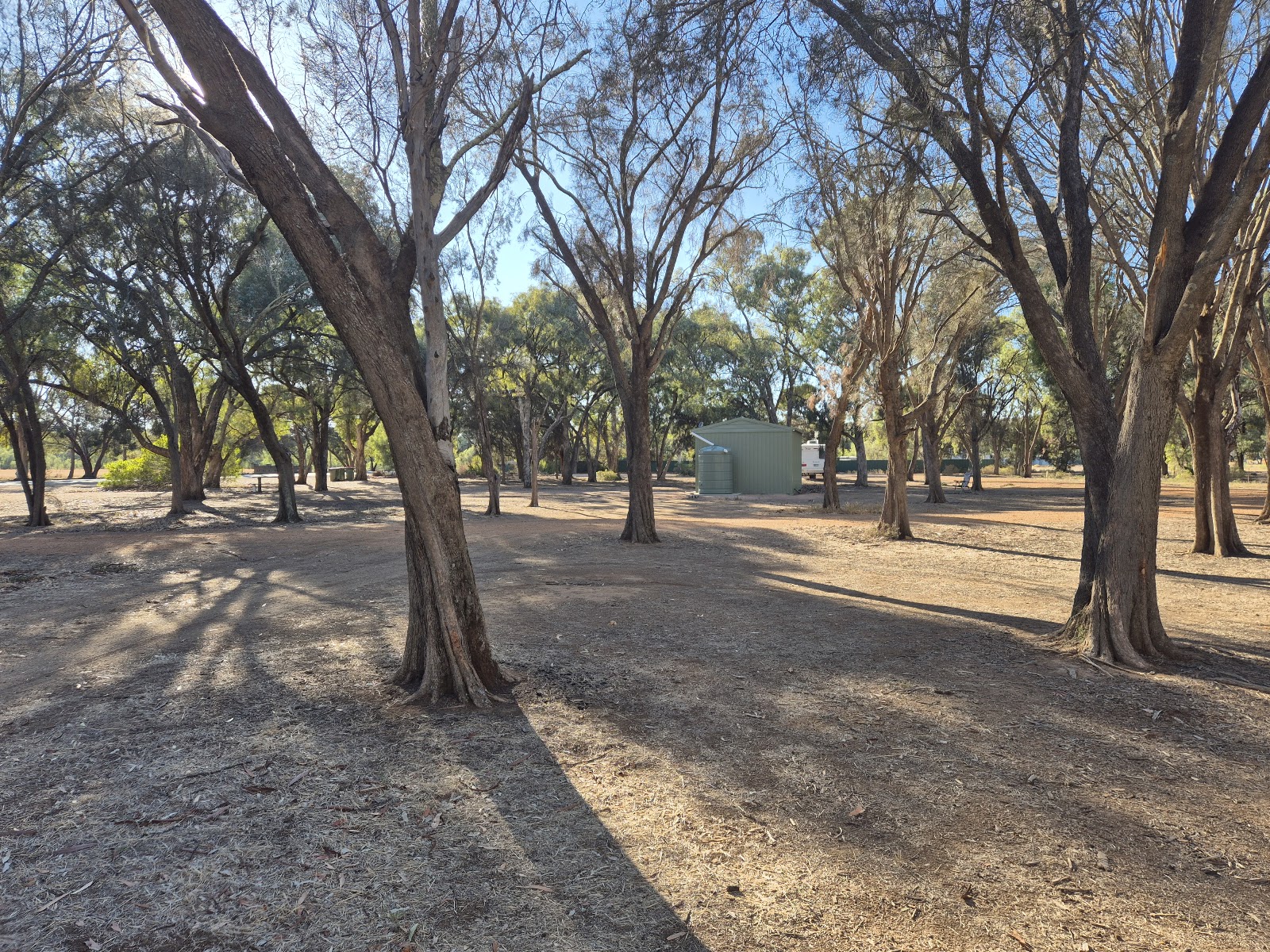 Ellis St Reserve 2