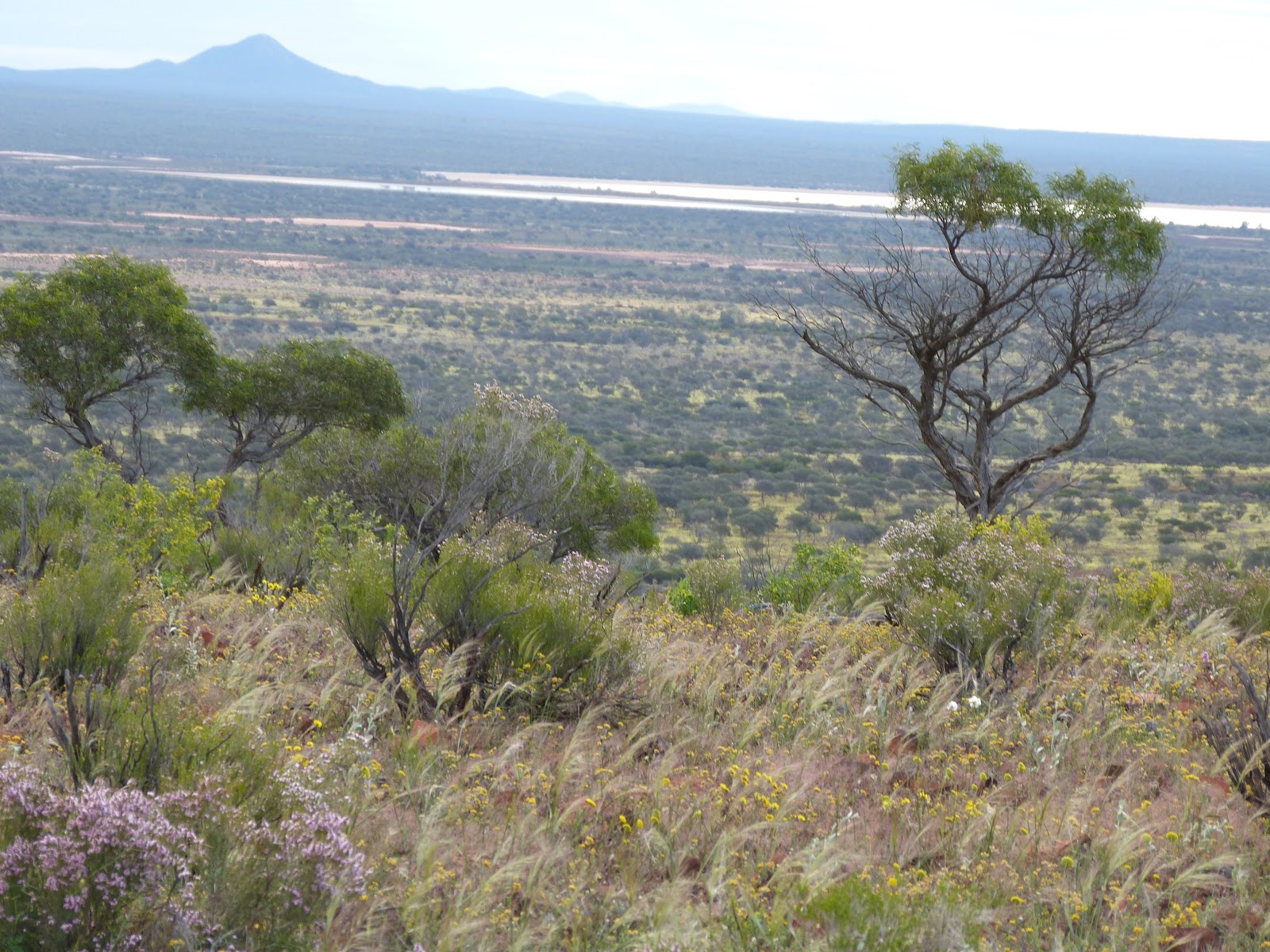 Karara Rangeland Park 2