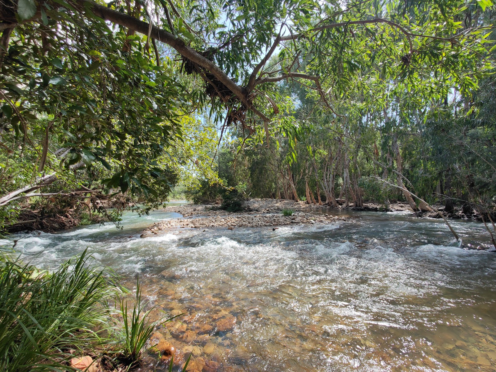 Bushy Parker Park 10