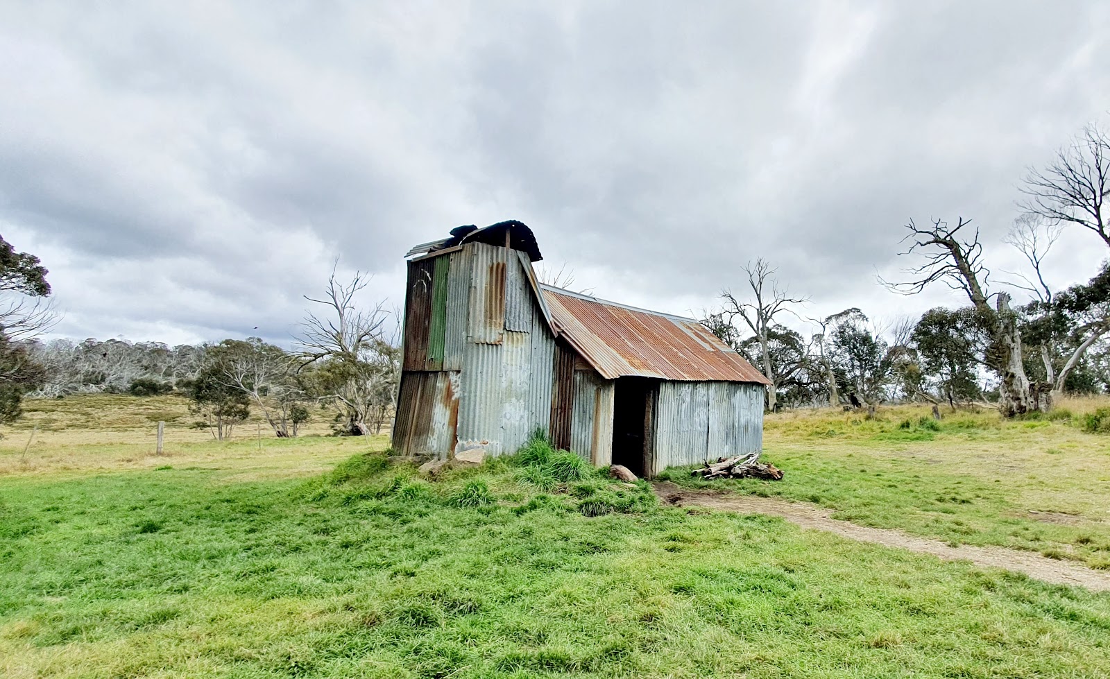 Howitt Hut 5