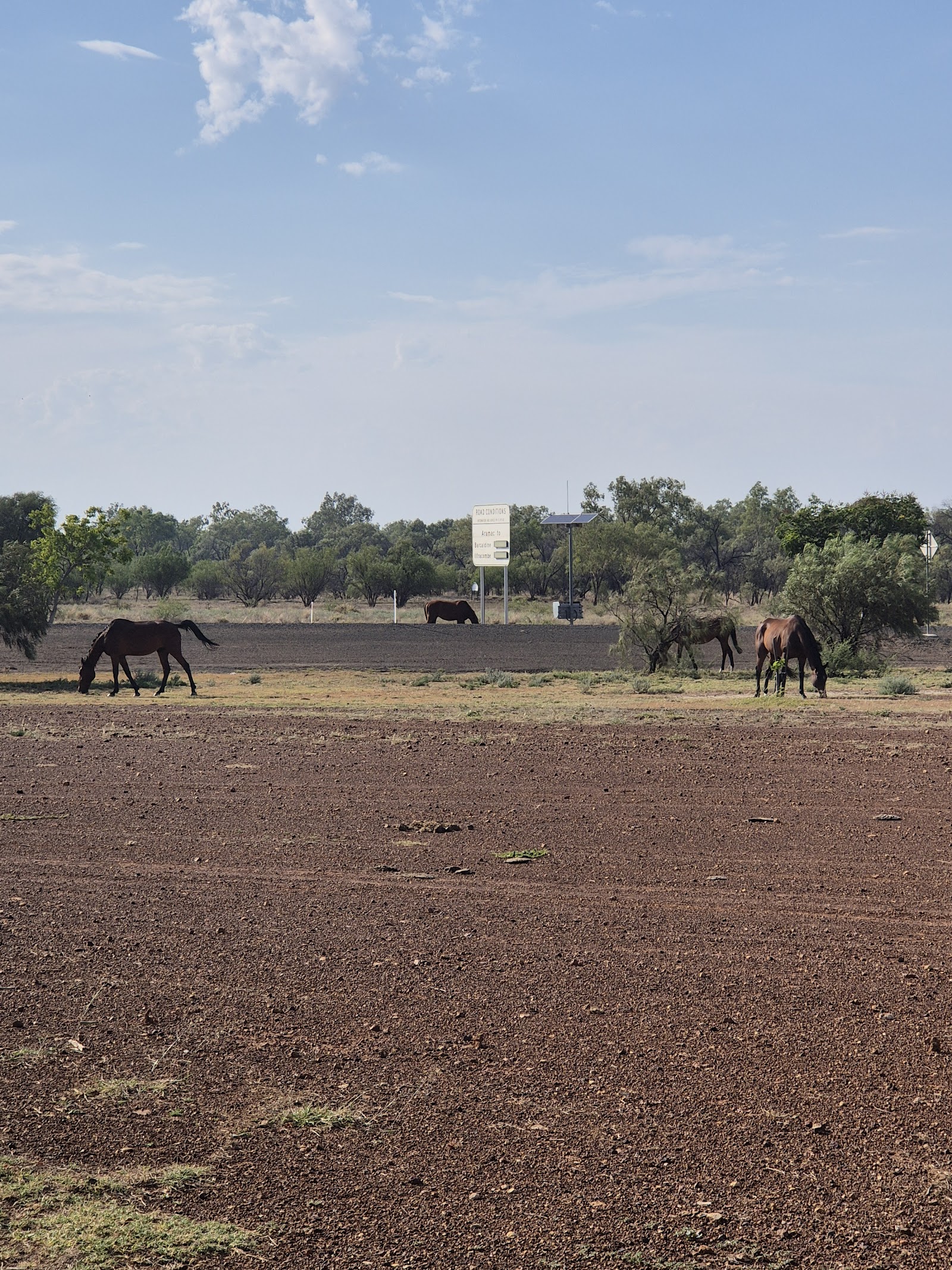 Aramac Freedom of Choice Park 3