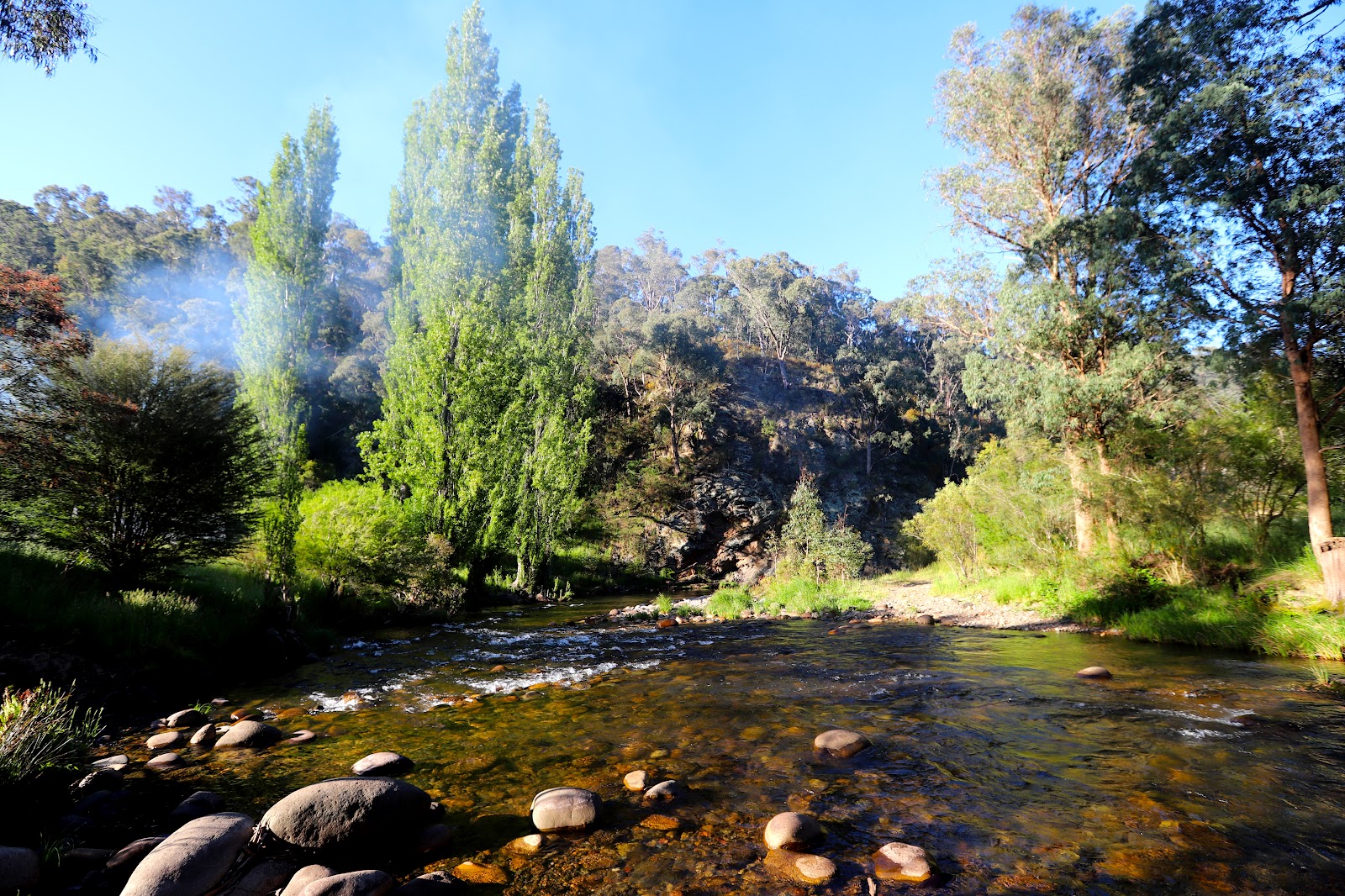 Frys Flat Campground 4