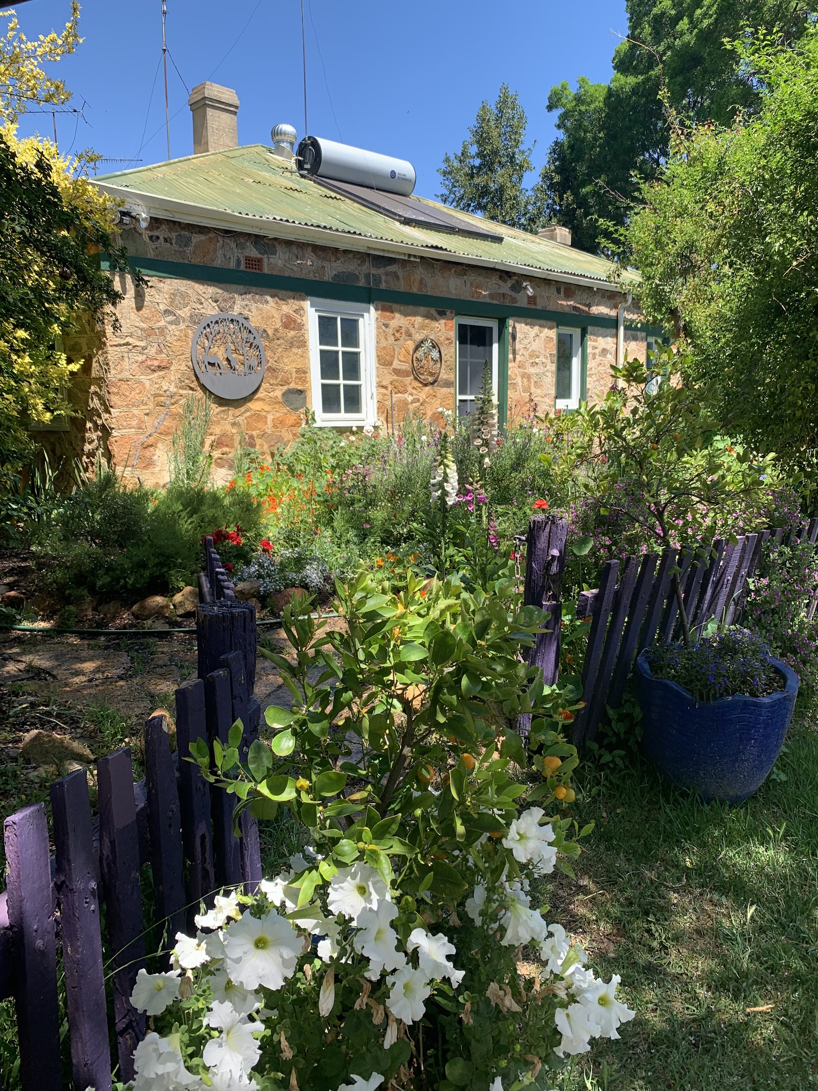 Williams River Farm Stay 2