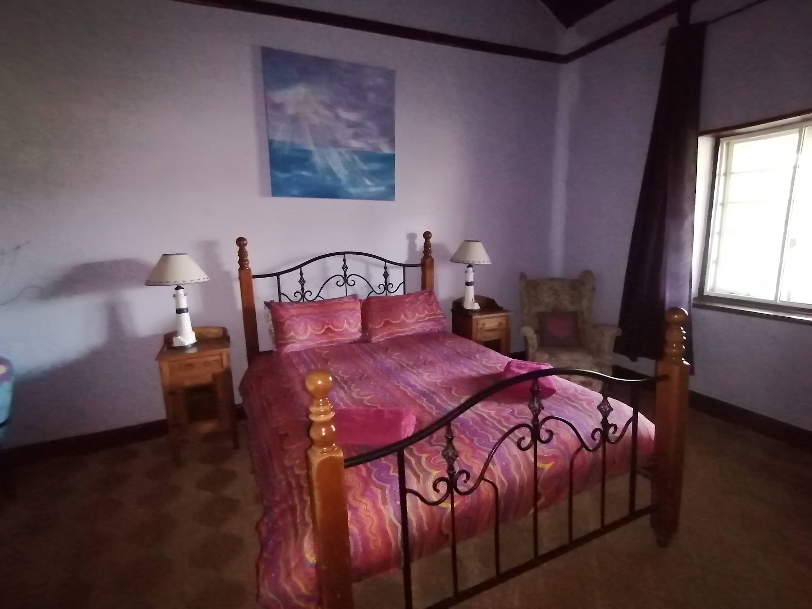 Williams River Farm Stay 3