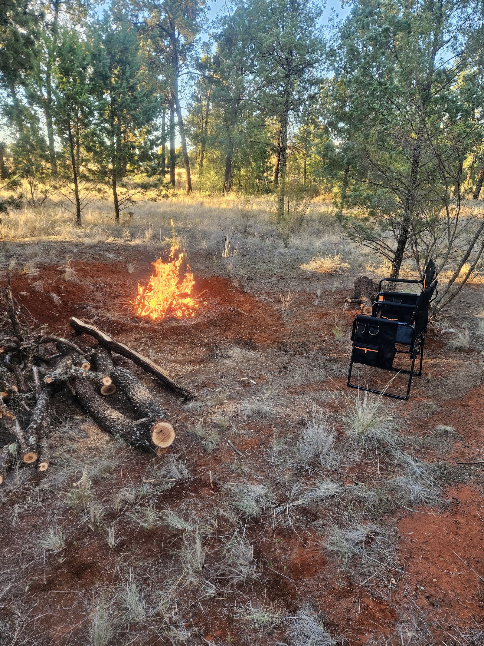 Goolgowi Free Camp 6