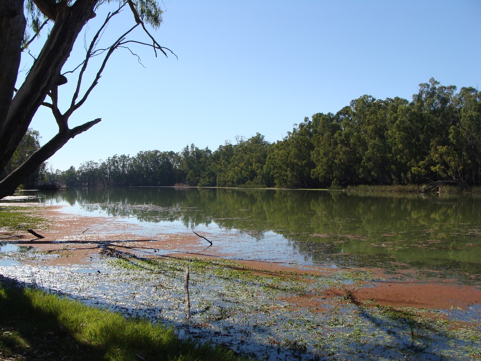 Town Pumps Campsite 9