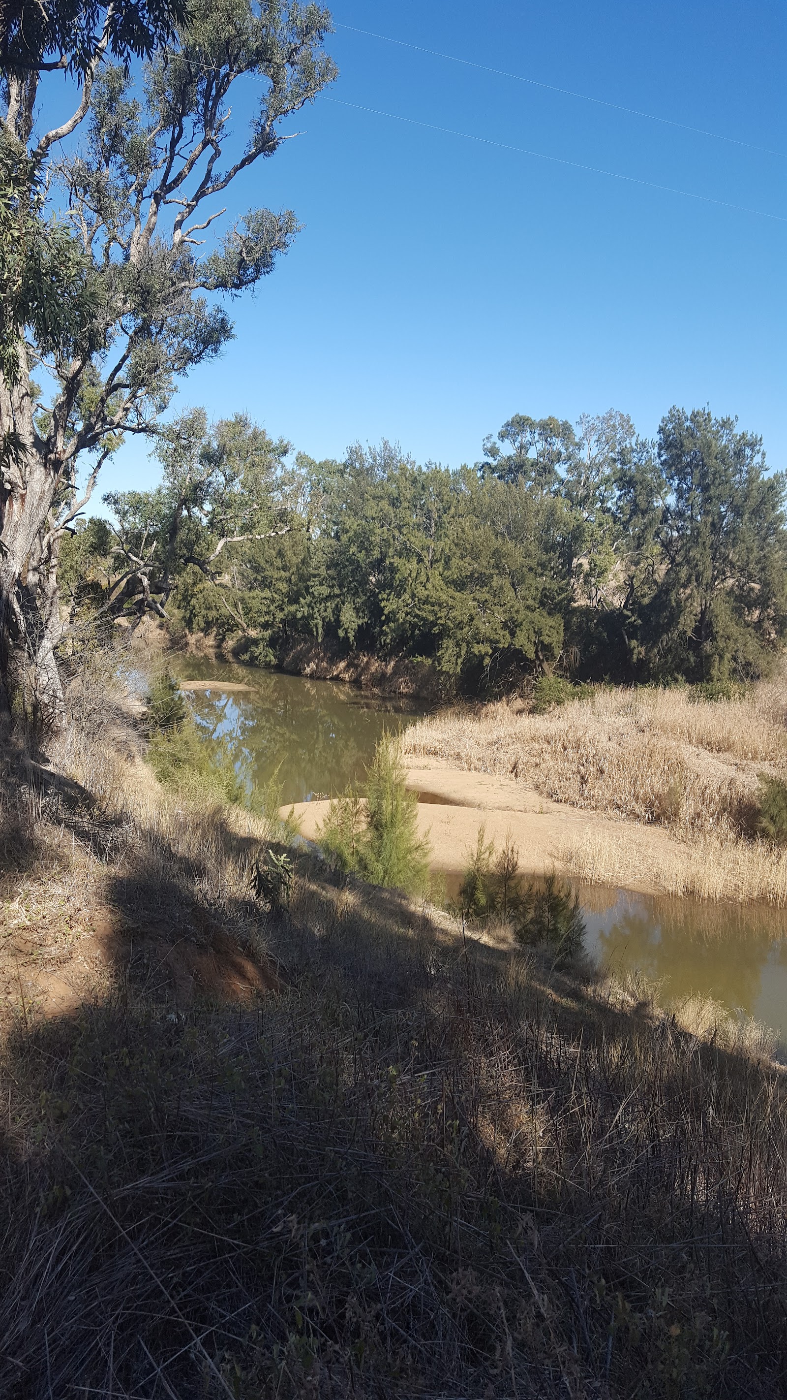 Binnaway Pumphouse Reserve 3