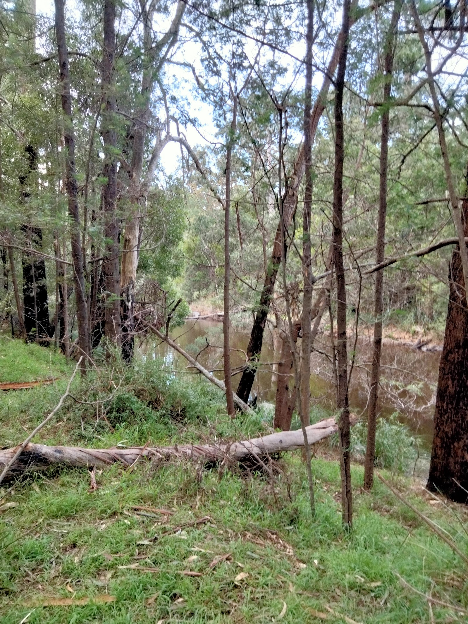 White Woman's Waterhole Campsite 6